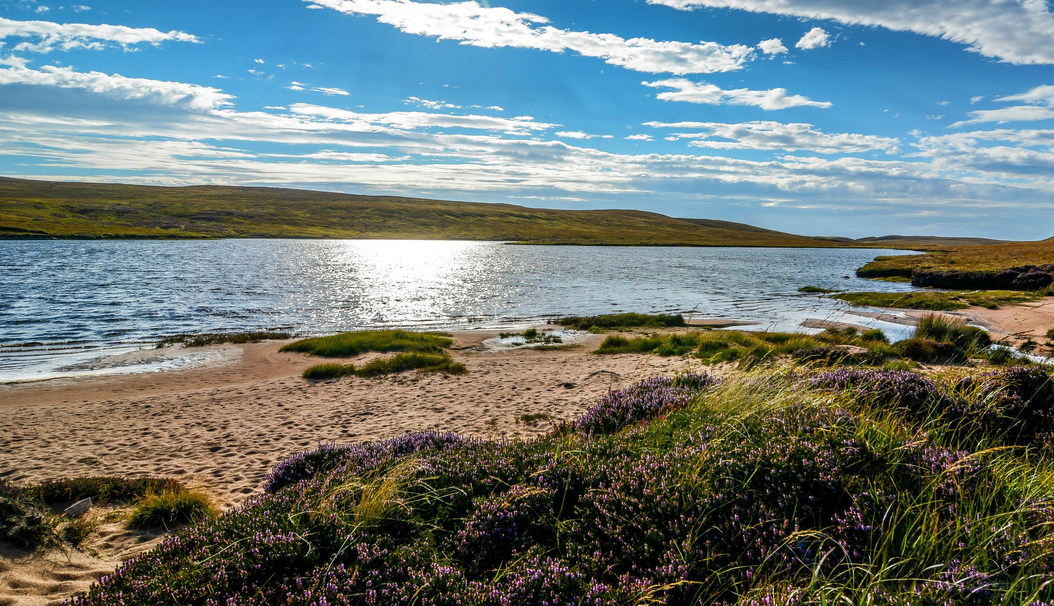 Sandy beach with heather and a lake in Scotland HD Wallpaper