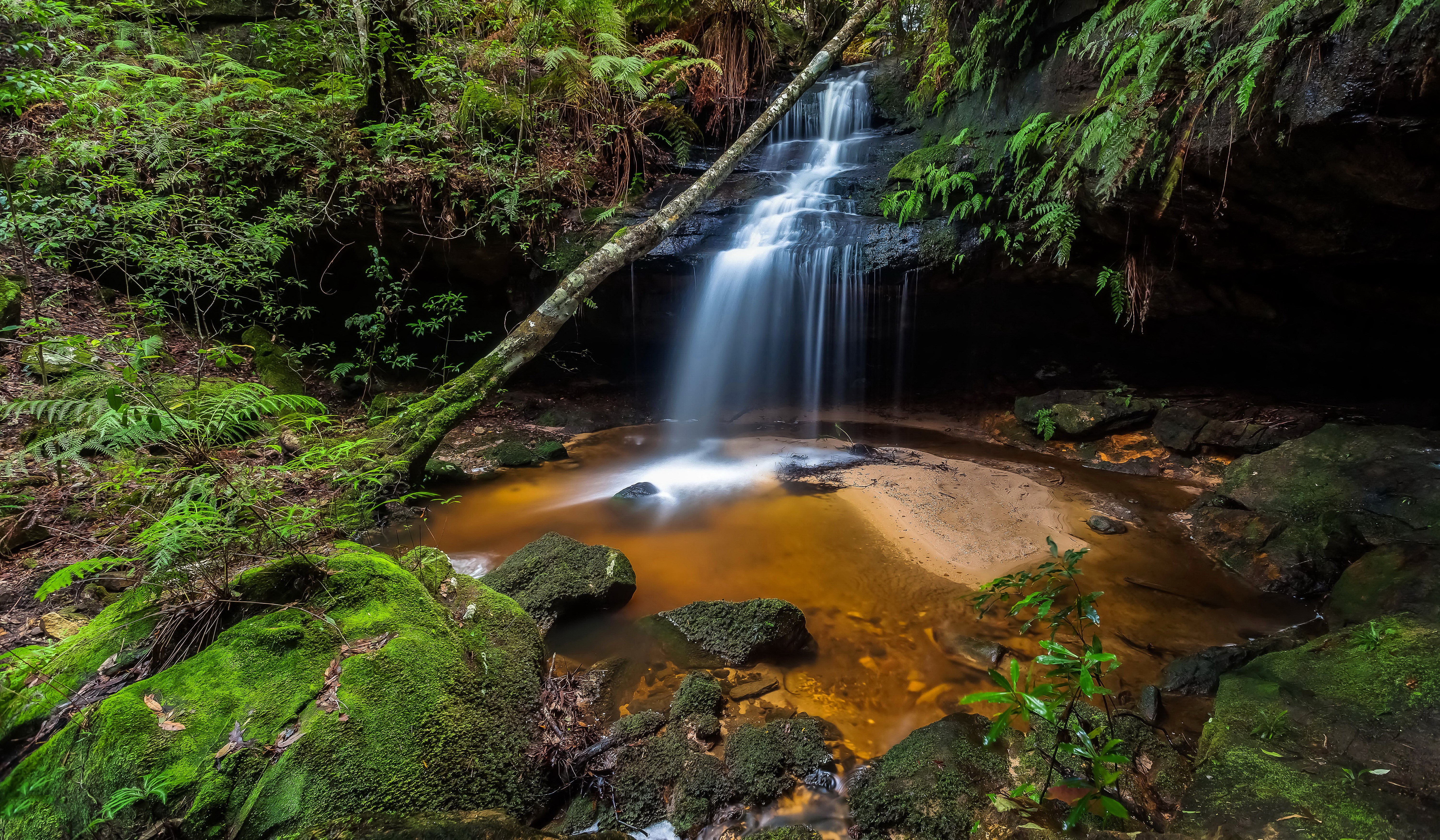 Waterfall cascading into a pool in a mossy forest HD Wallpaper