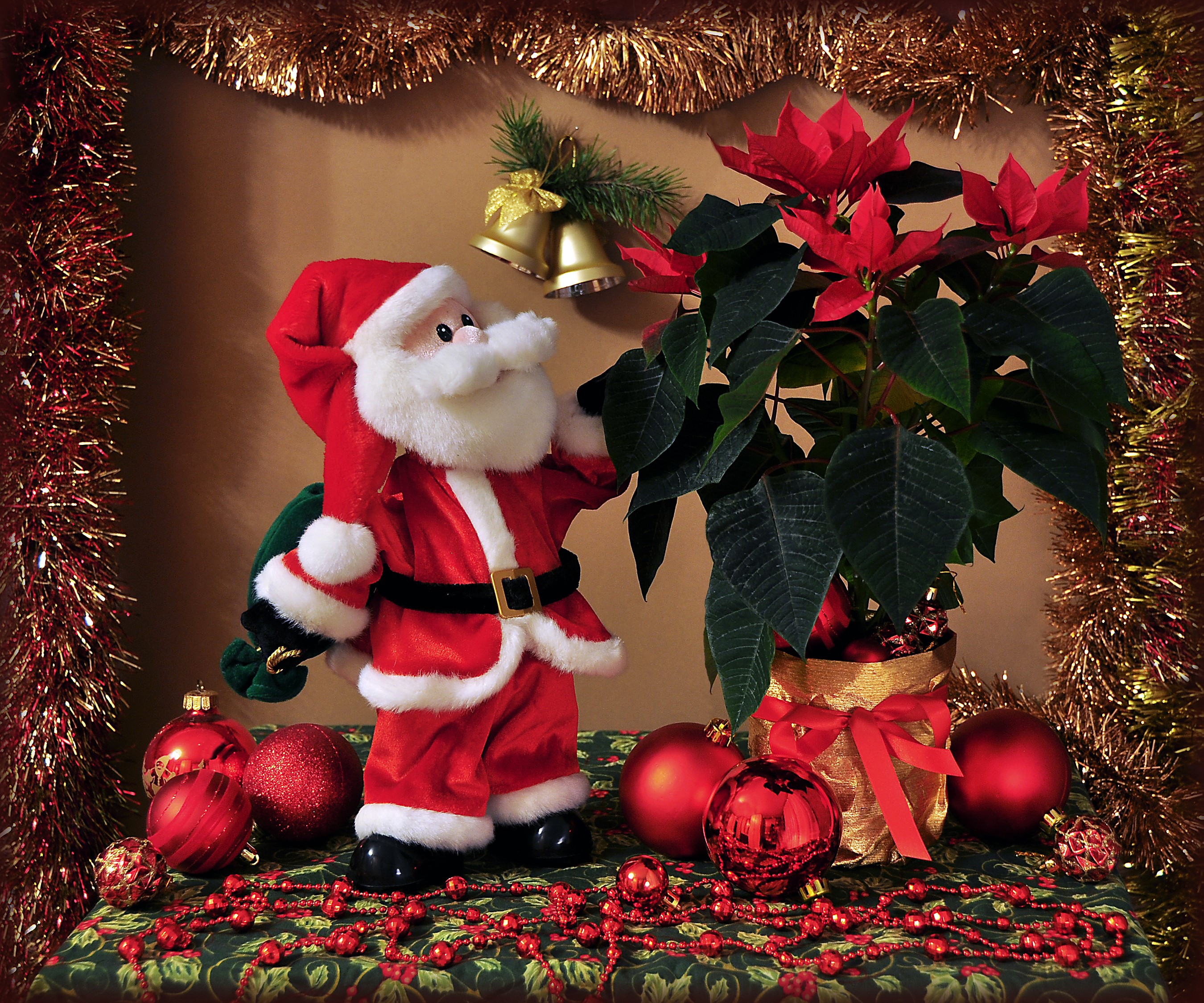 Santa Claus with Poinsettia and Christmas Ornaments HD Wallpaper