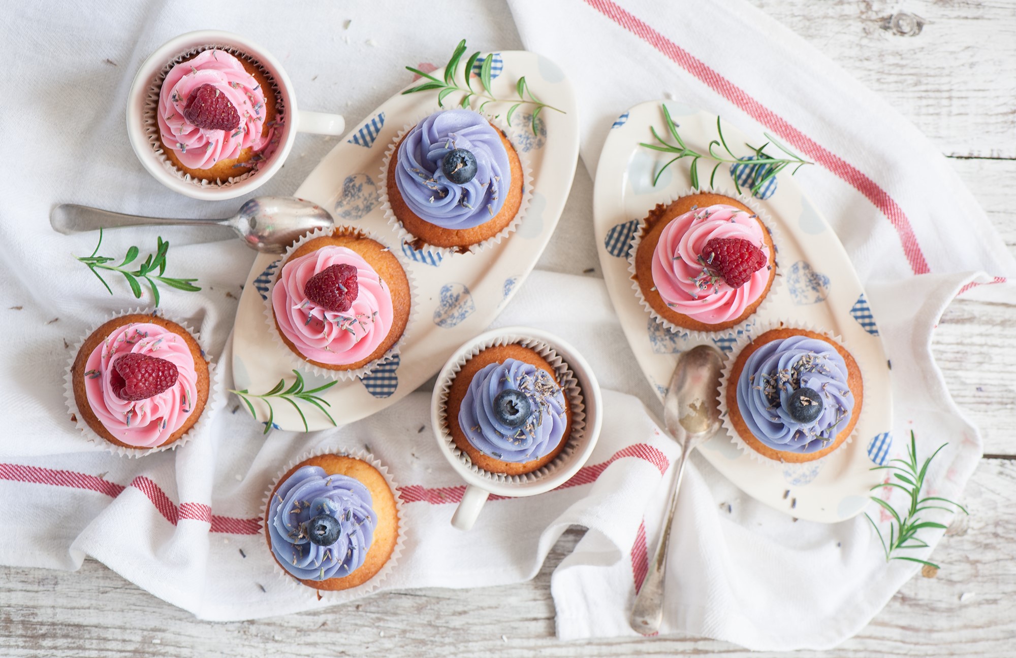 Cupcakes with pink and purple frosting on plates and in cups HD Wallpaper