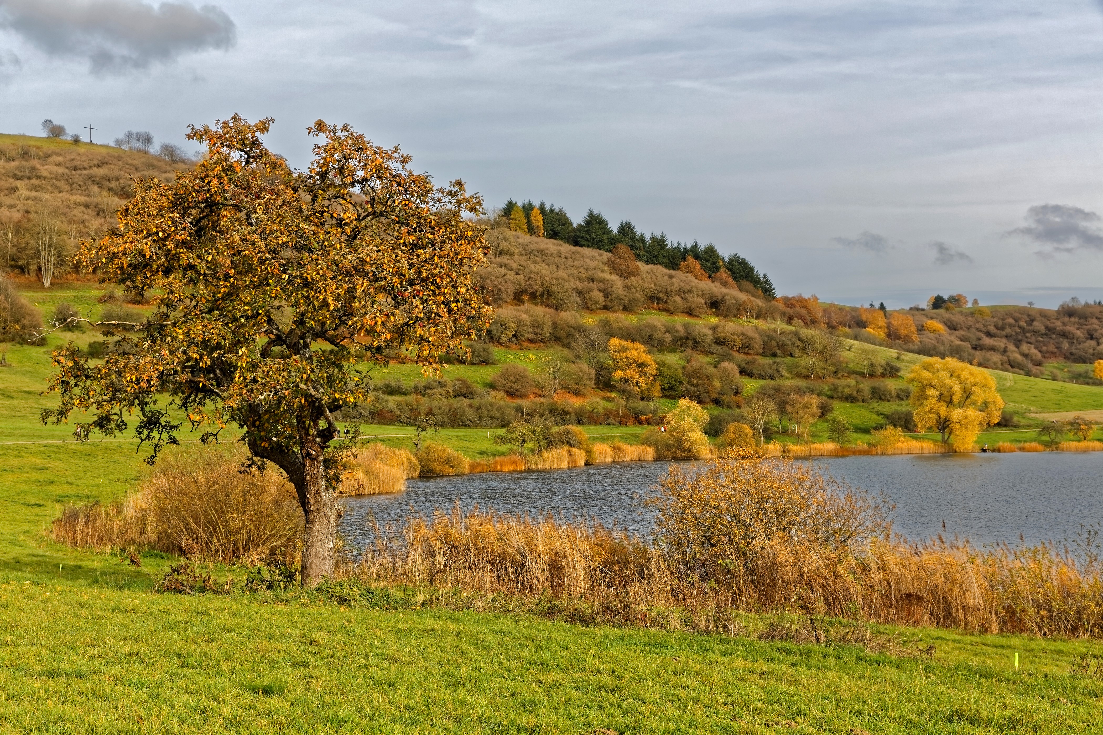 Autumn landscape with pond and trees in Schalkenmehren, Germany HD Wallpaper