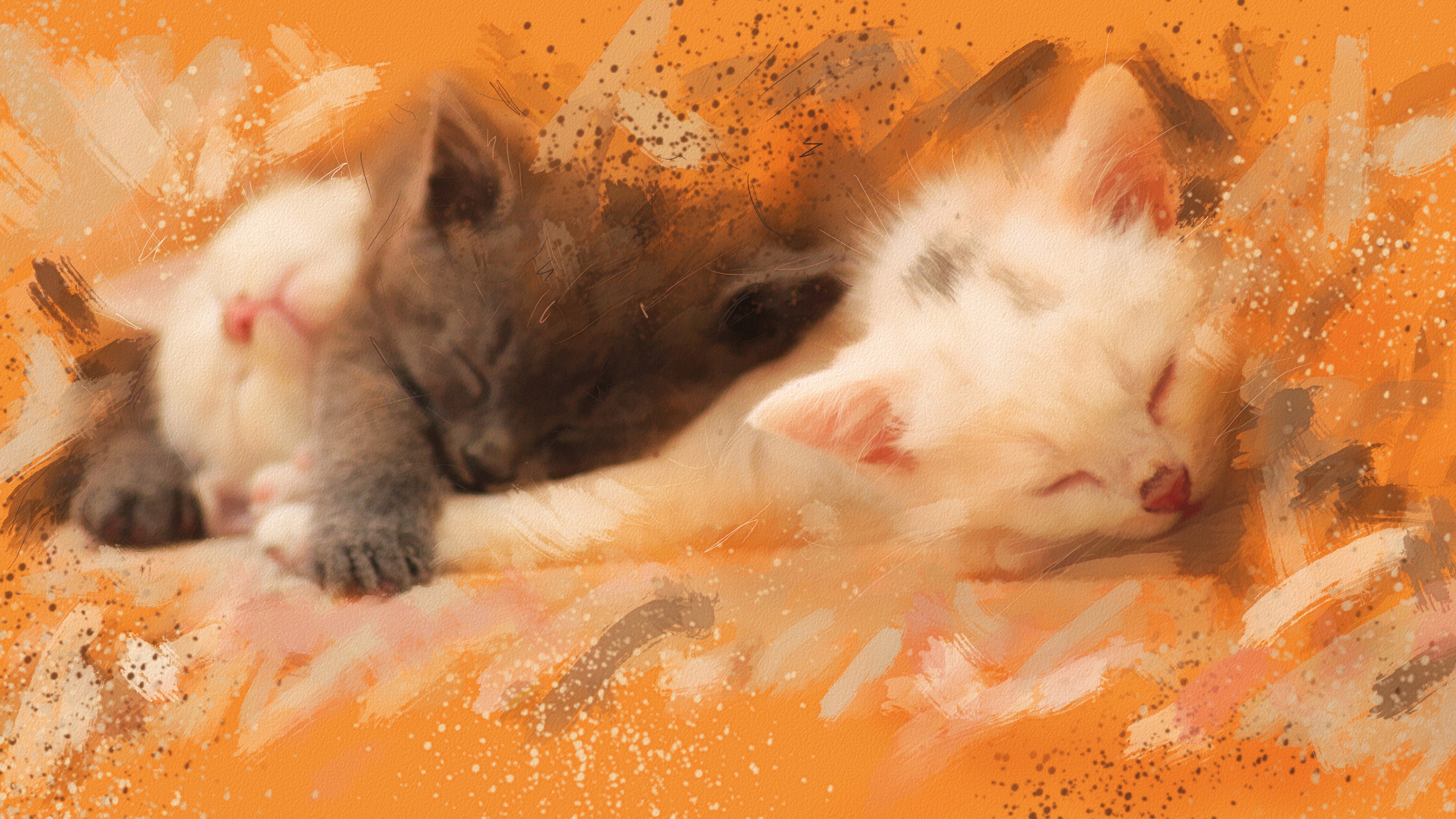 Two Kittens Sleeping, Painting Art HD Wallpaper