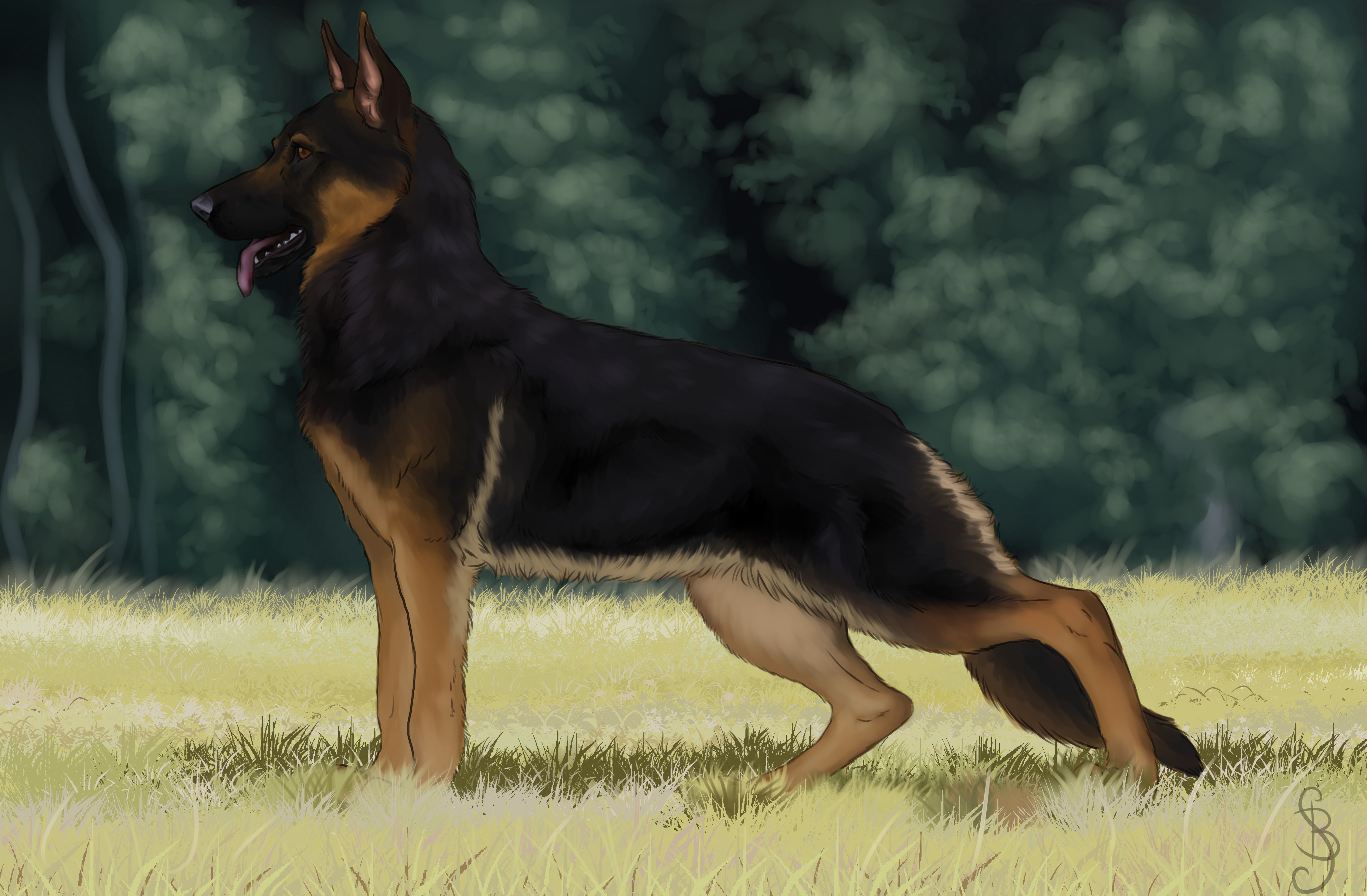 German Shepherd Dog Painting Art HD Wallpaper