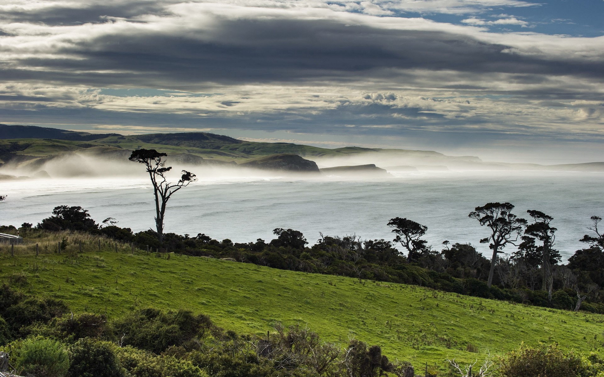 Tahakopa Bay Papatowai New Zealand Coastline HD Wallpaper