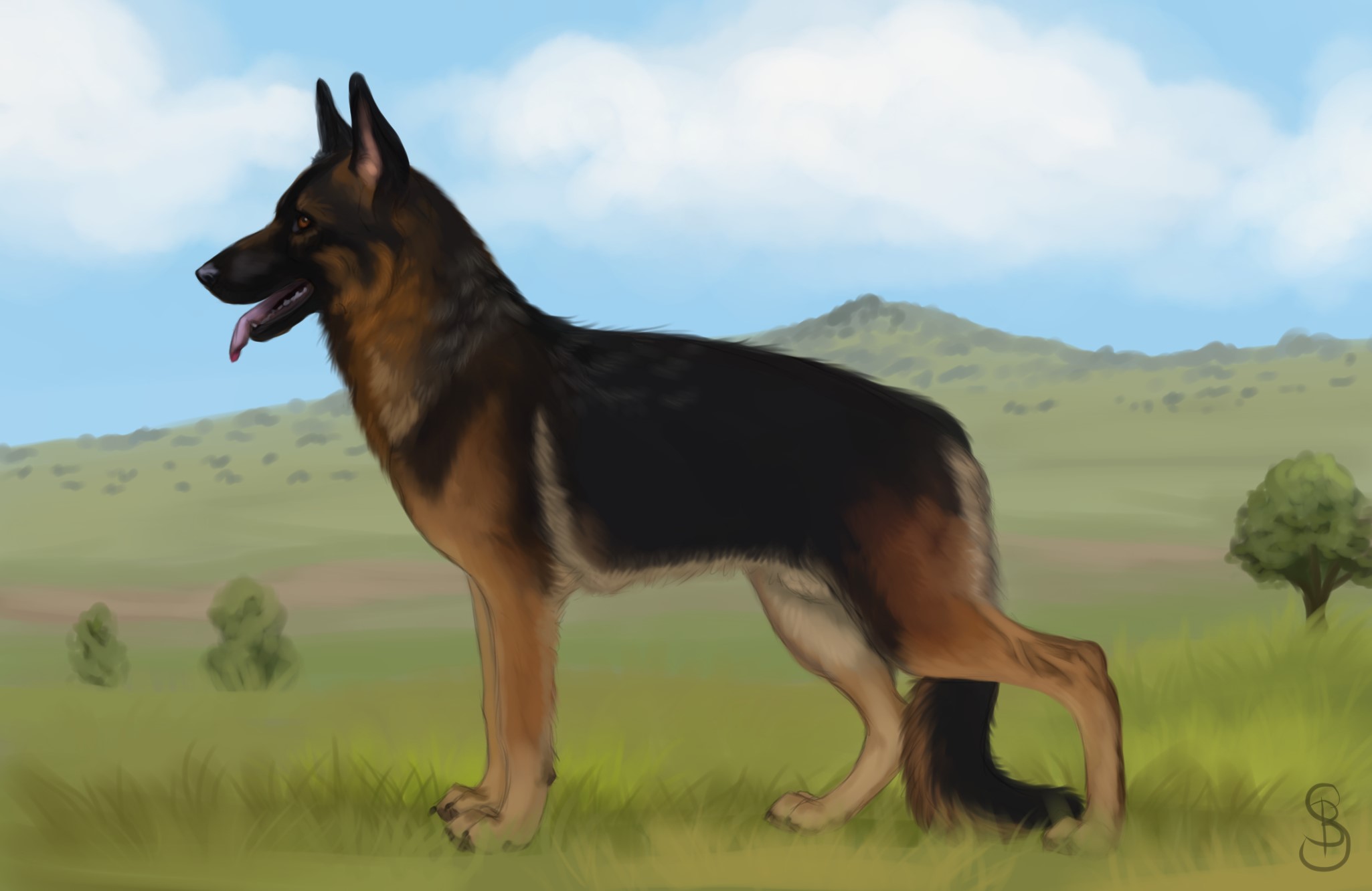 German Shepherd Dog Painting HD Wallpaper