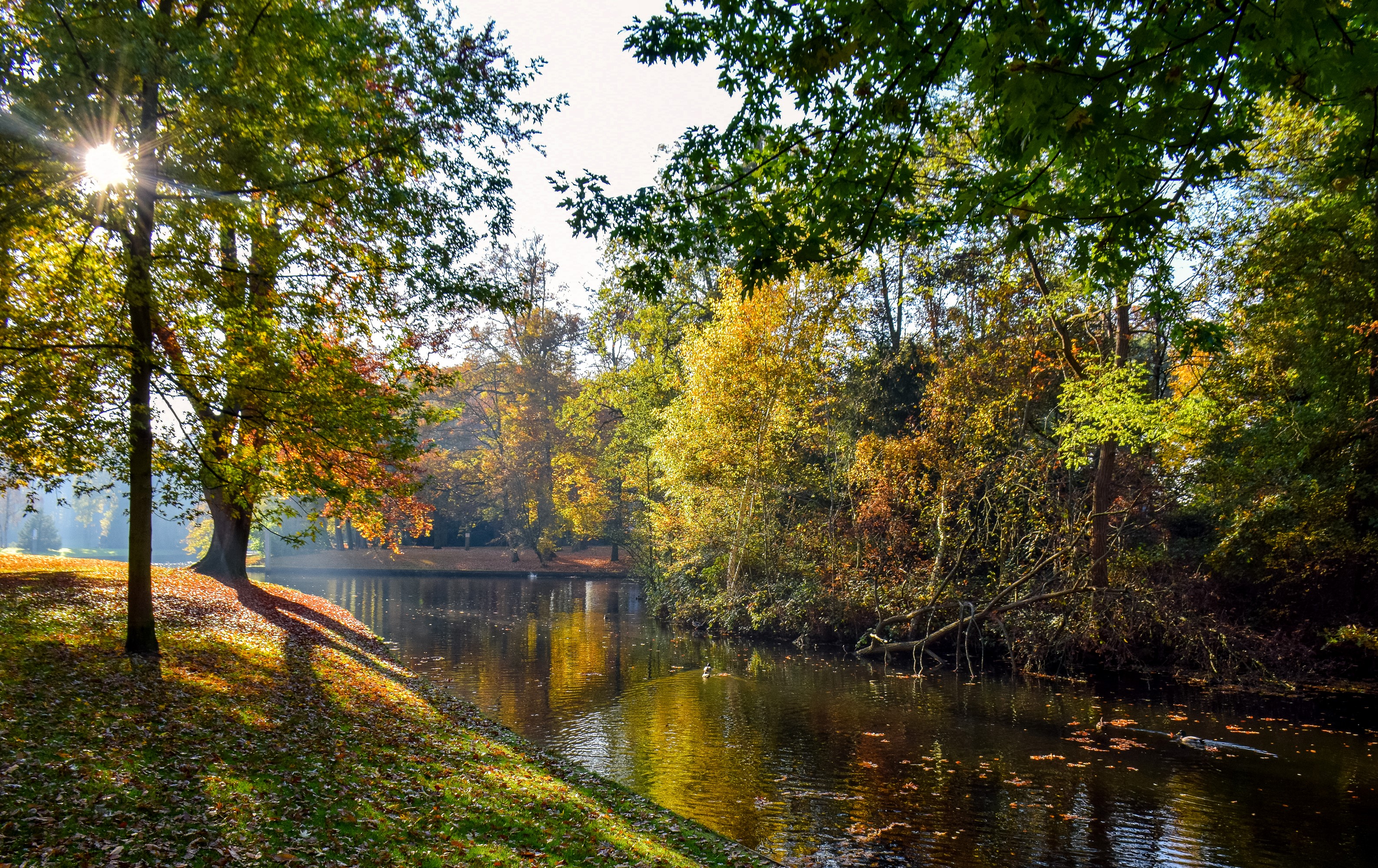 Reeburgpark Vught, Netherlands Autumn Pond with Trees and Sunlight HD Wallpaper