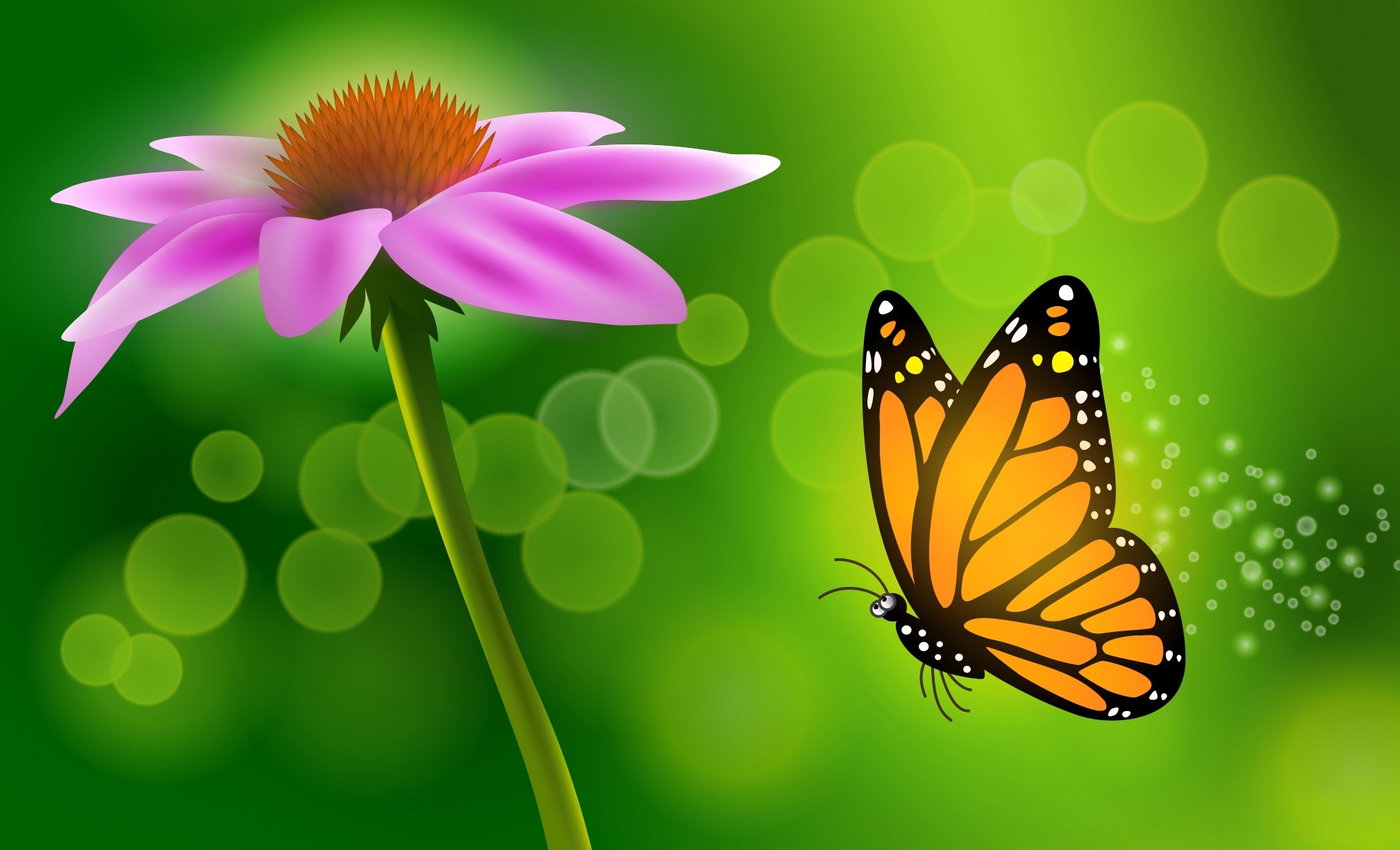 Monarch butterfly near a purple coneflower HD Wallpaper