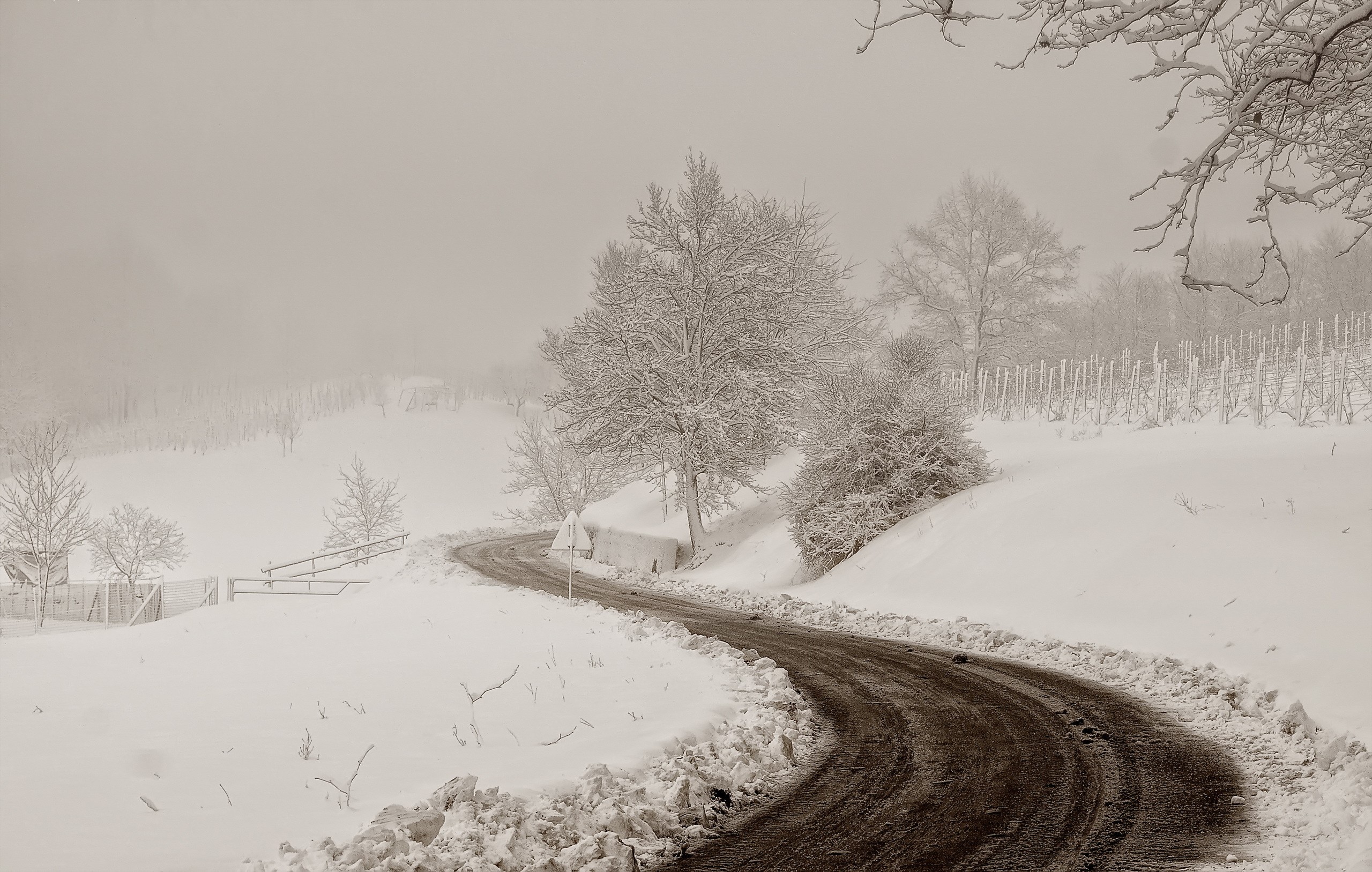 Winding road through a snowy landscape with trees HD Wallpaper