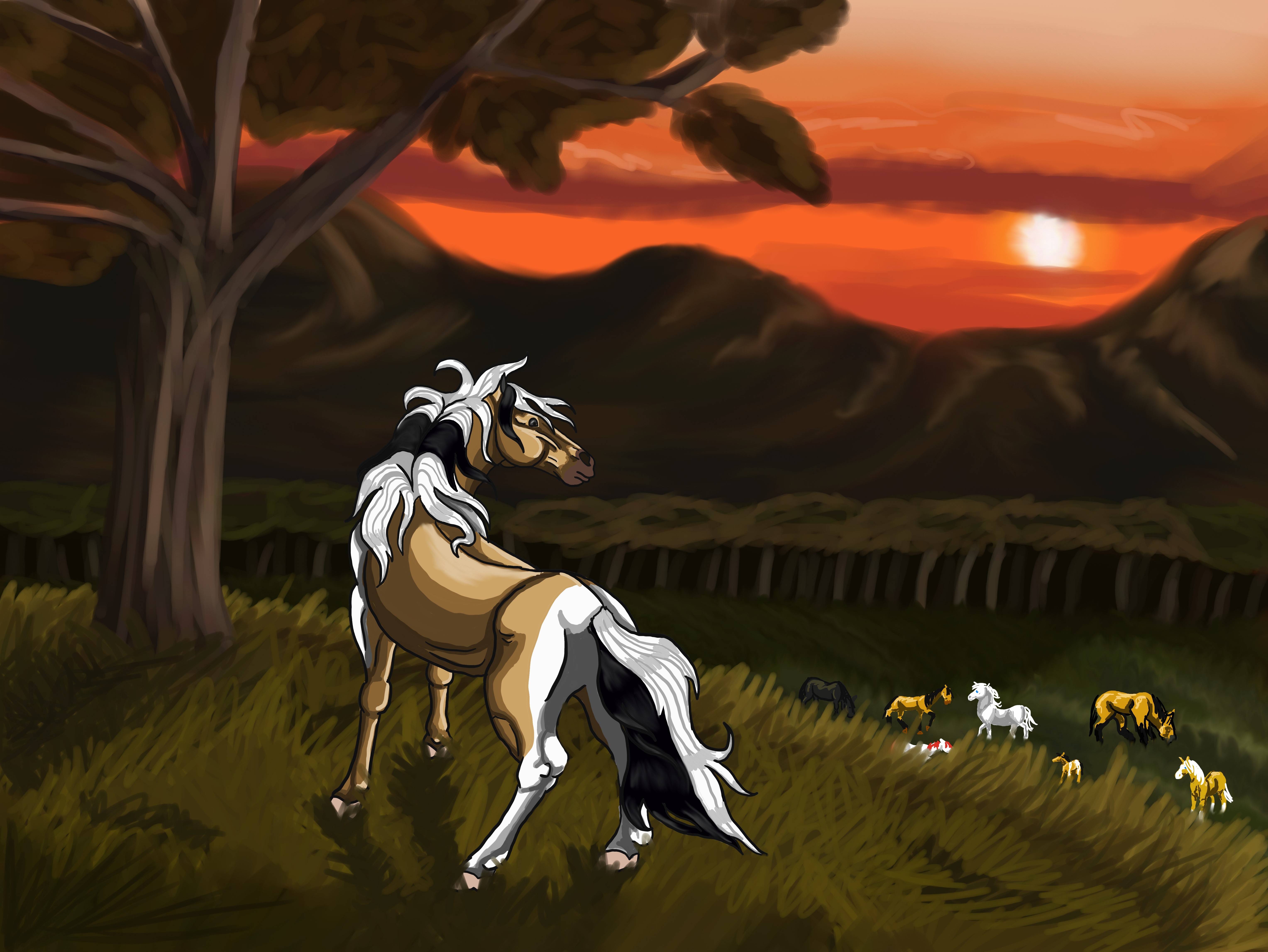 Horses in a field at sunset HD Wallpaper
