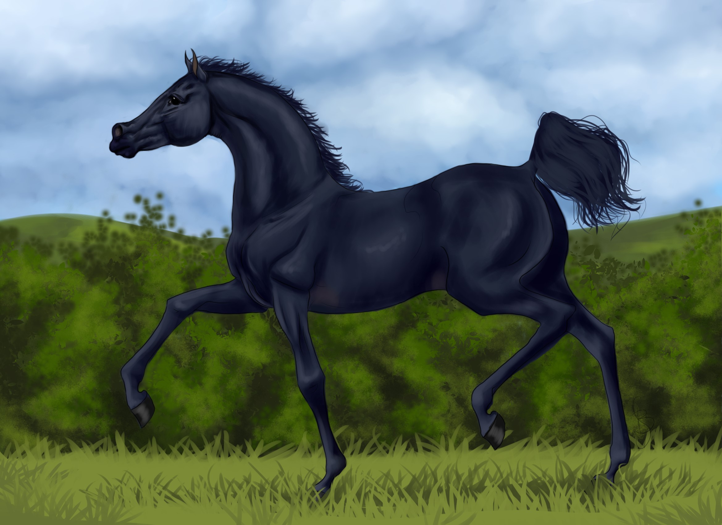 Black horse running in a grassy field HD Wallpaper