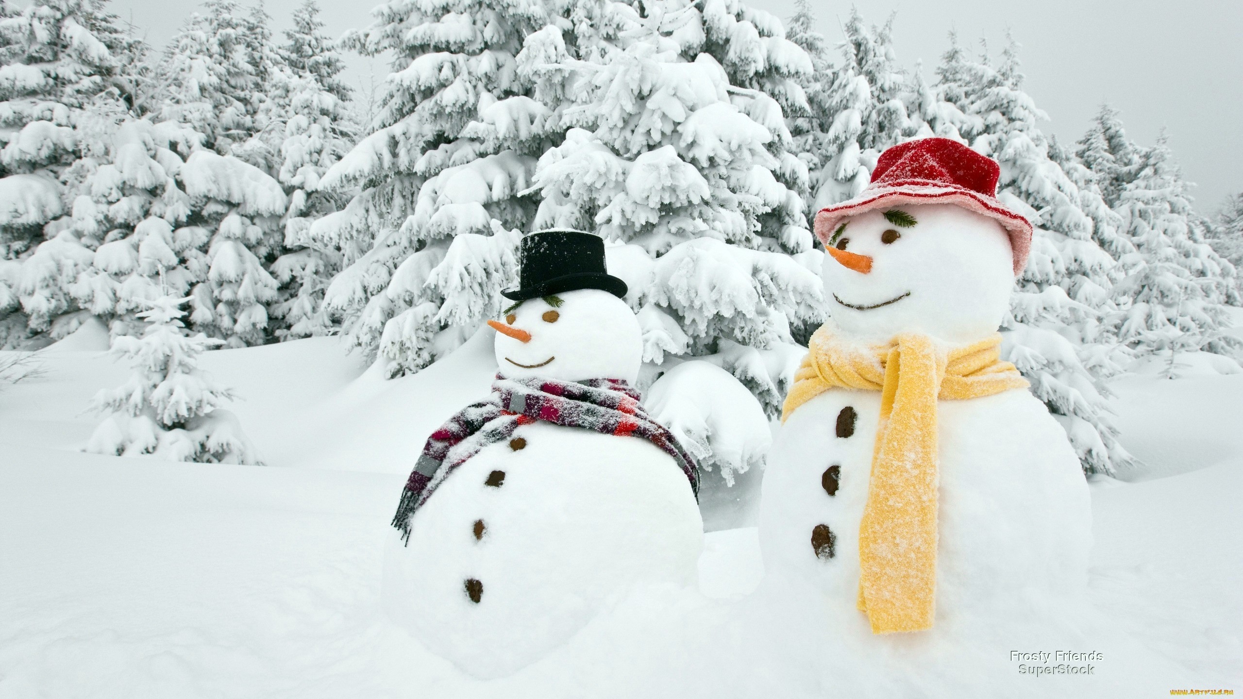 Two snowmen in a snowy forest with trees HD Wallpaper
