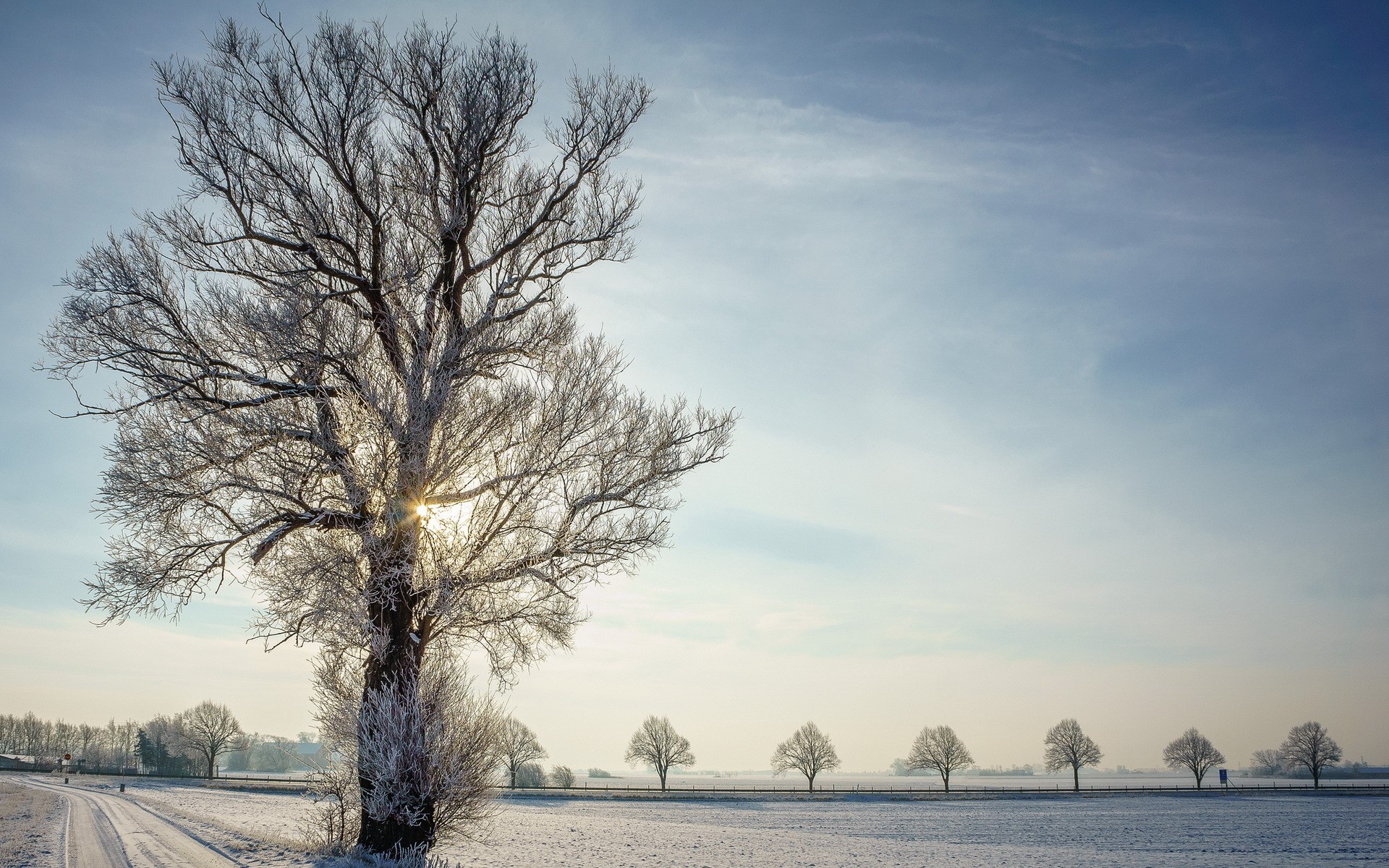 Winter landscape with frosted trees and a snowy road HD Wallpaper