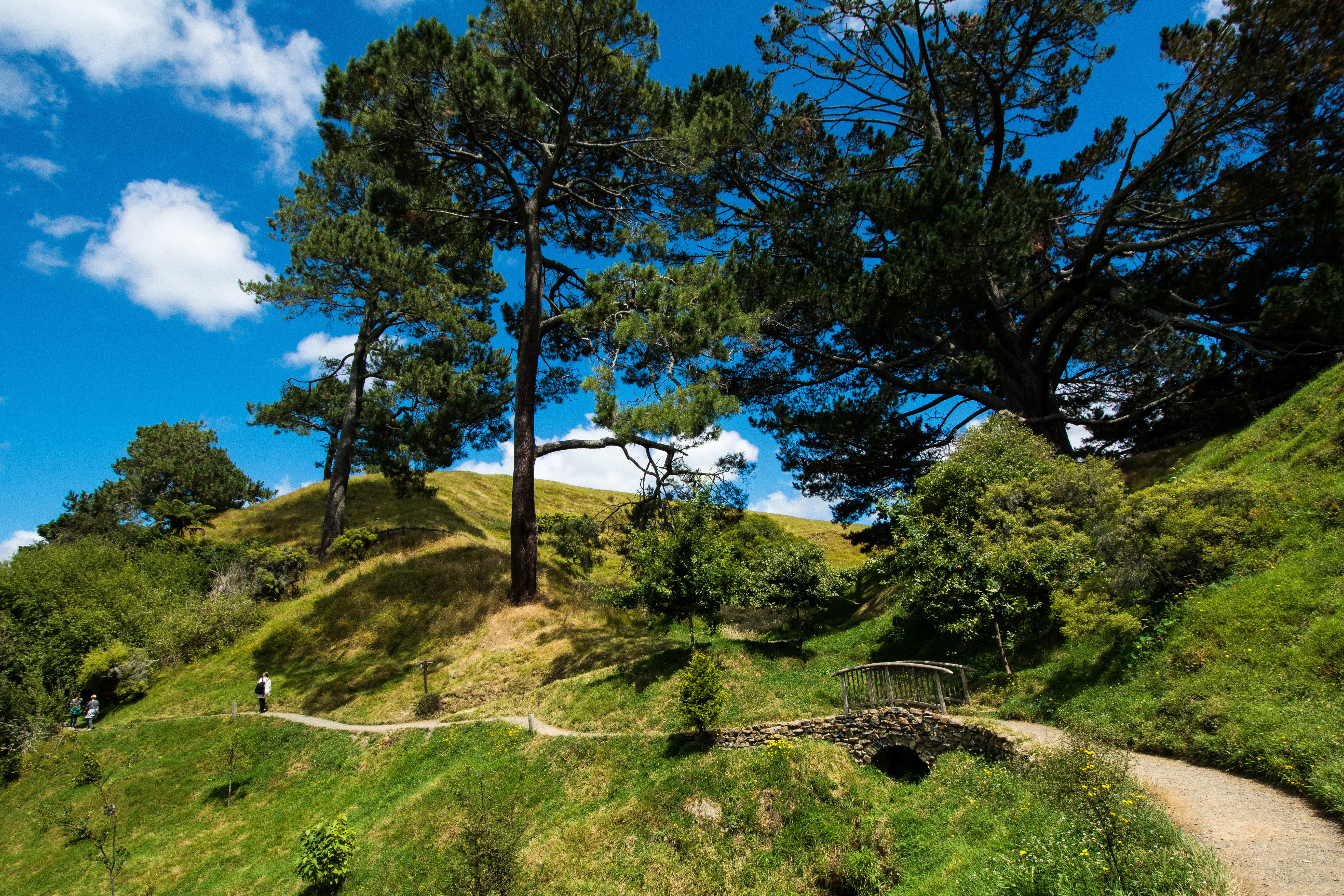 Matamata Hobbiton New Zealand Path and Bridge HD Wallpaper