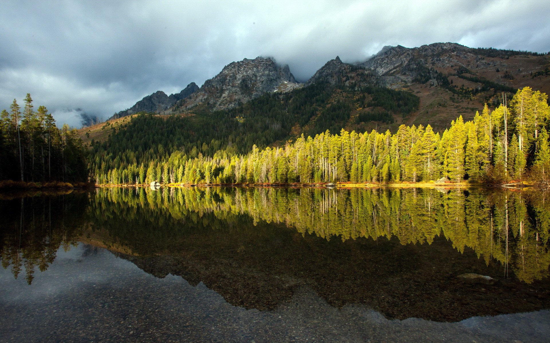 Lake and Mountains with Forest Reflection HD Wallpaper