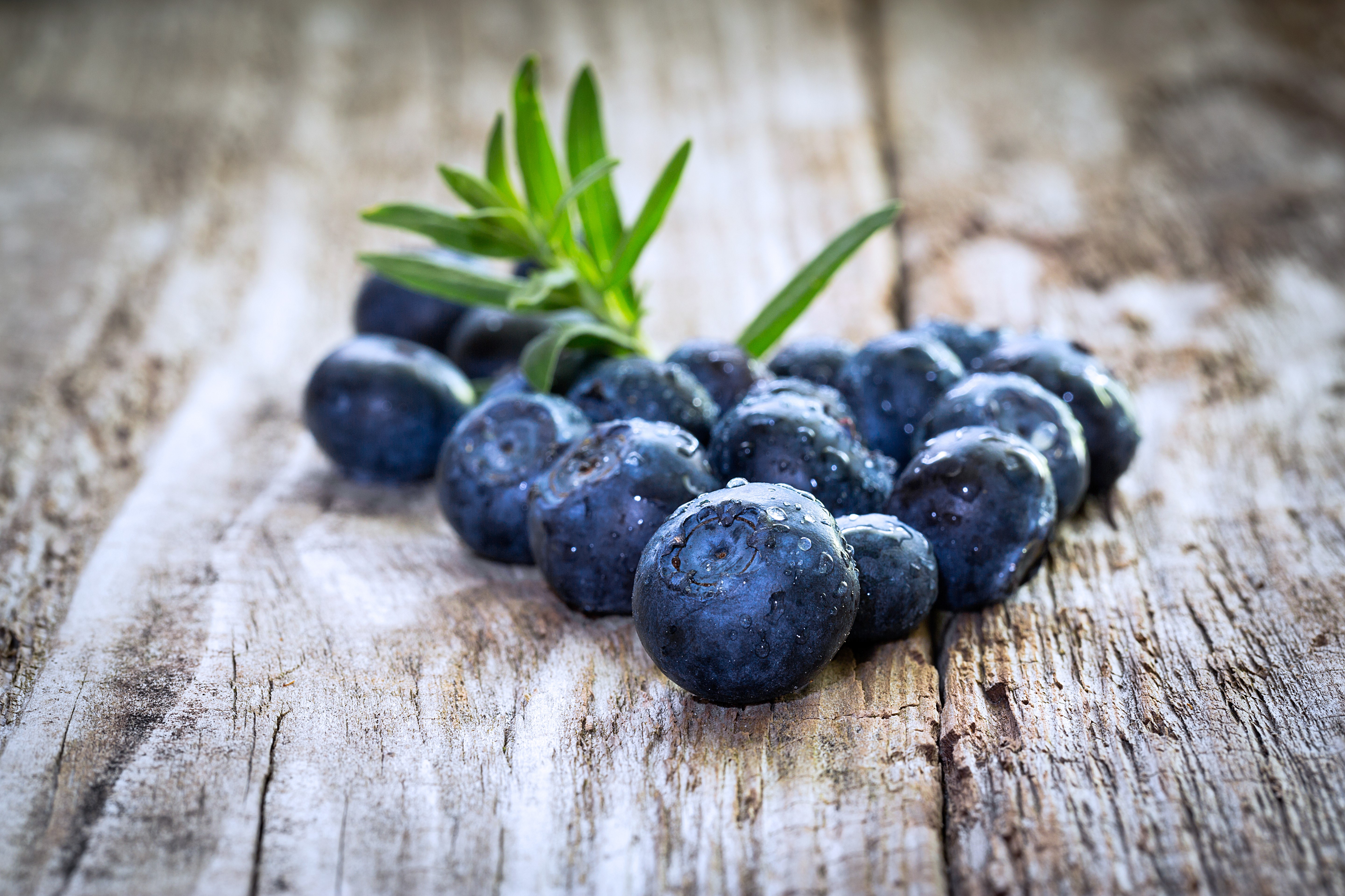 Blueberries with green sprig on wooden surface HD Wallpaper