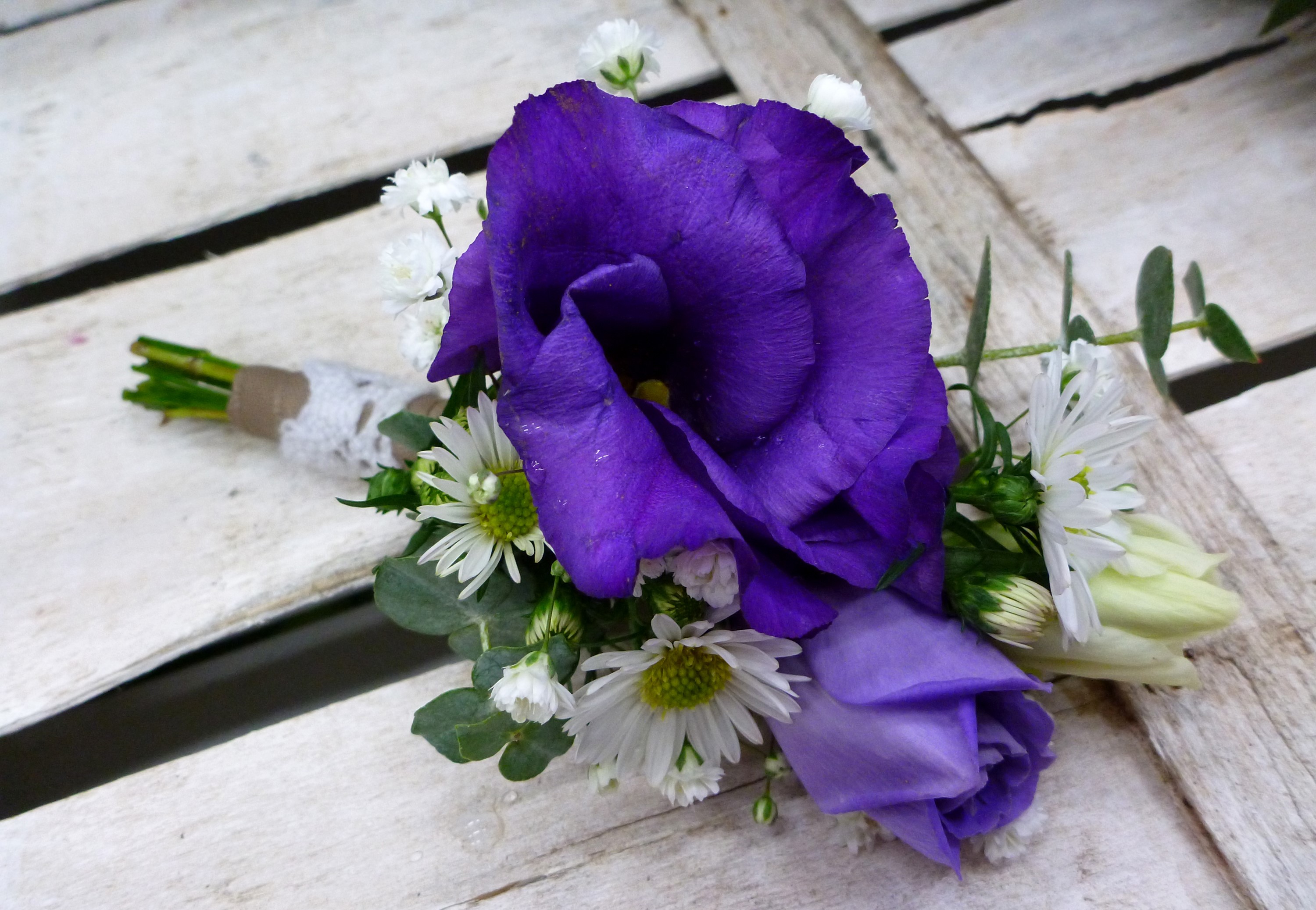 Purple Eustoma and white flowers boutonniere HD Wallpaper