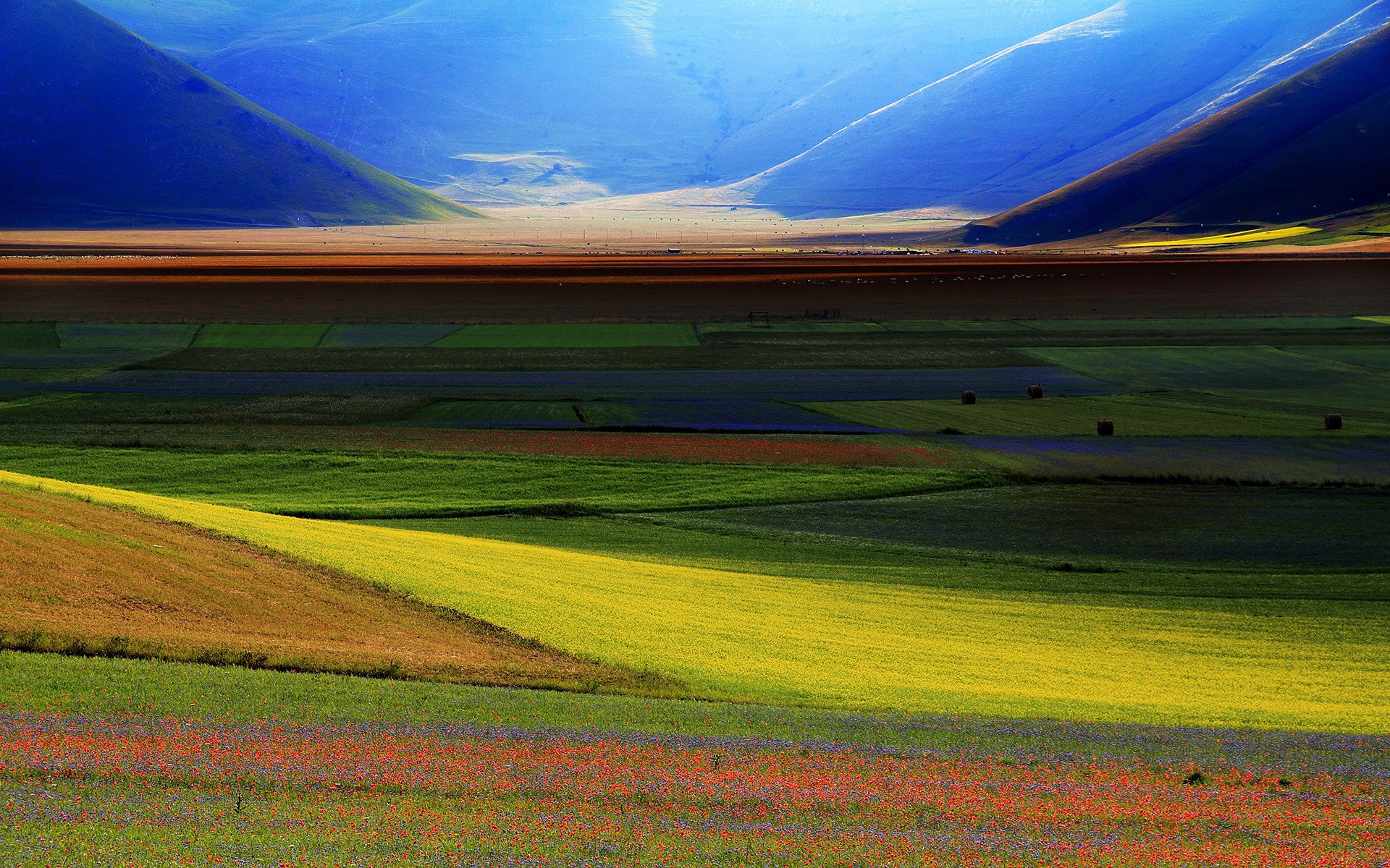 Colorful fields in front of blue mountains HD Wallpaper