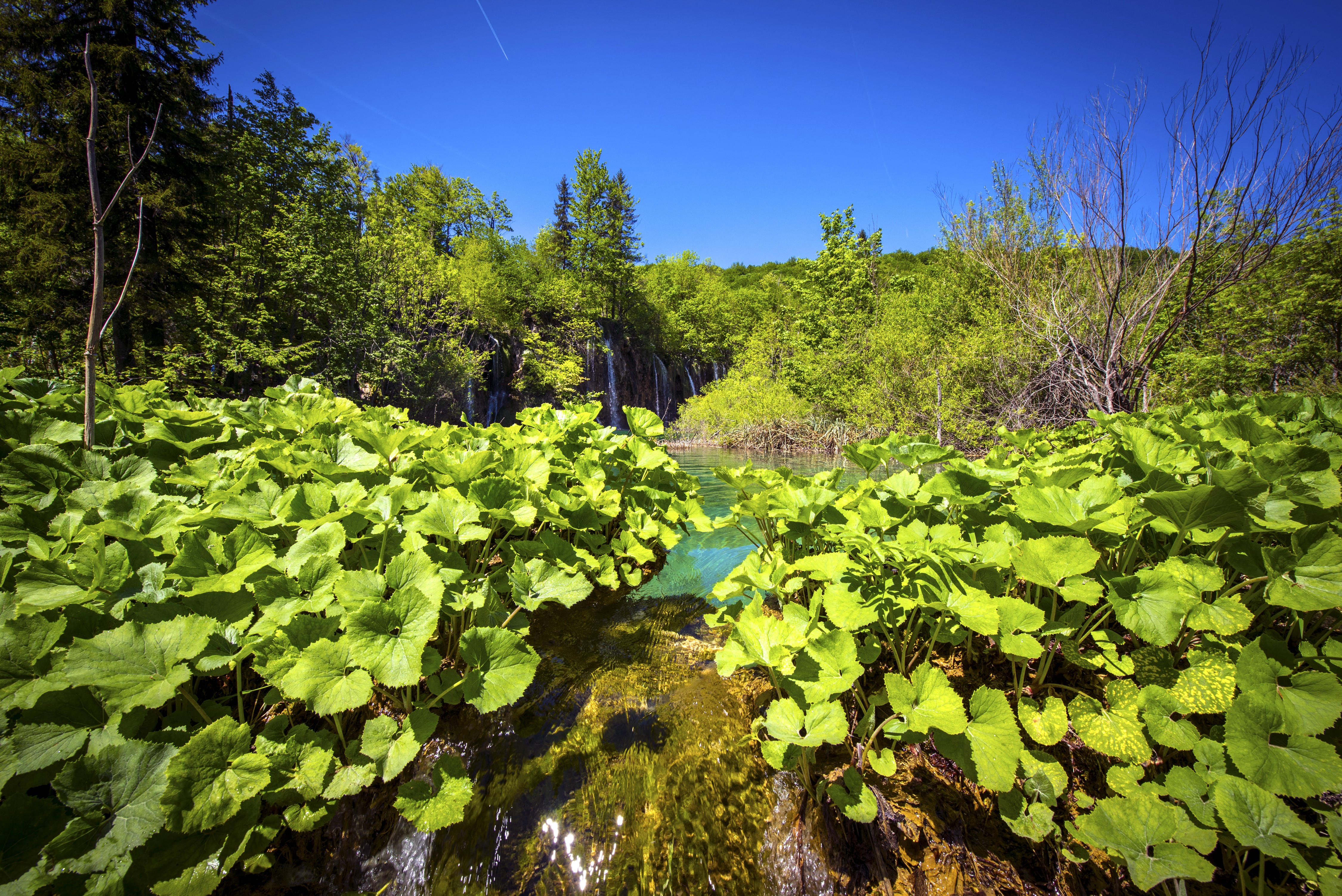 4K Plitvice Lakes National Park Croatia Waterfalls Foliage HD Wallpaper