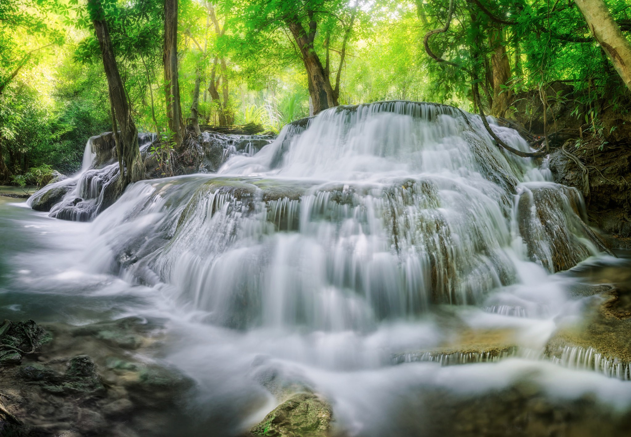 Cascading waterfall in a lush green forest HD Wallpaper