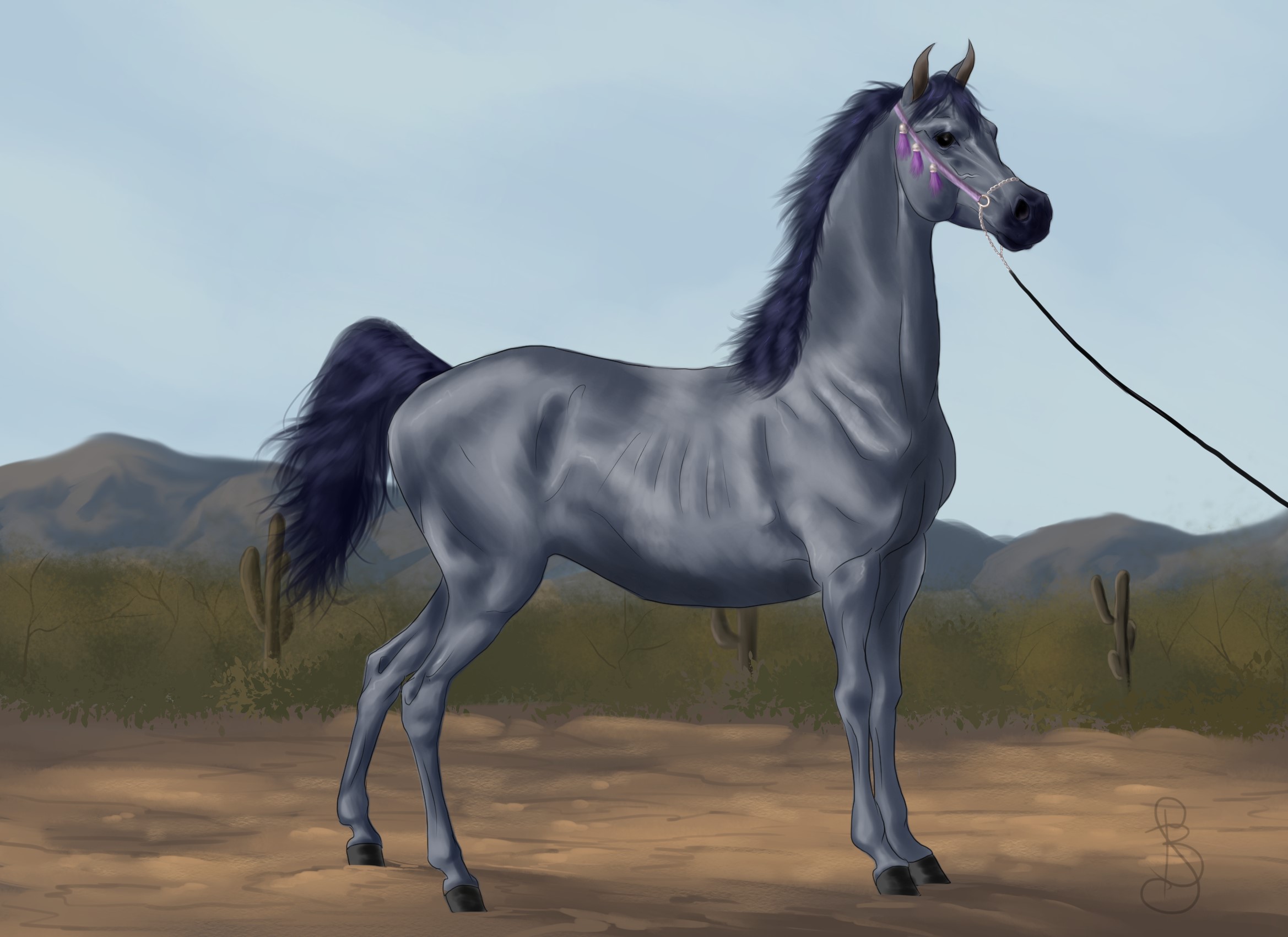 Grey Horse in a Desert Landscape HD Wallpaper