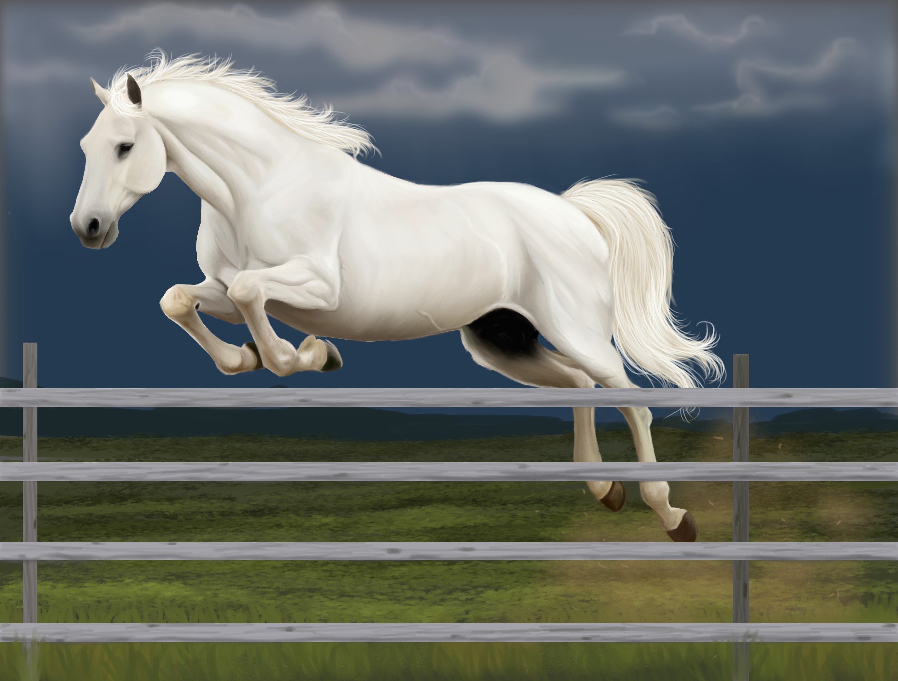 White horse jumping over a fence HD Wallpaper