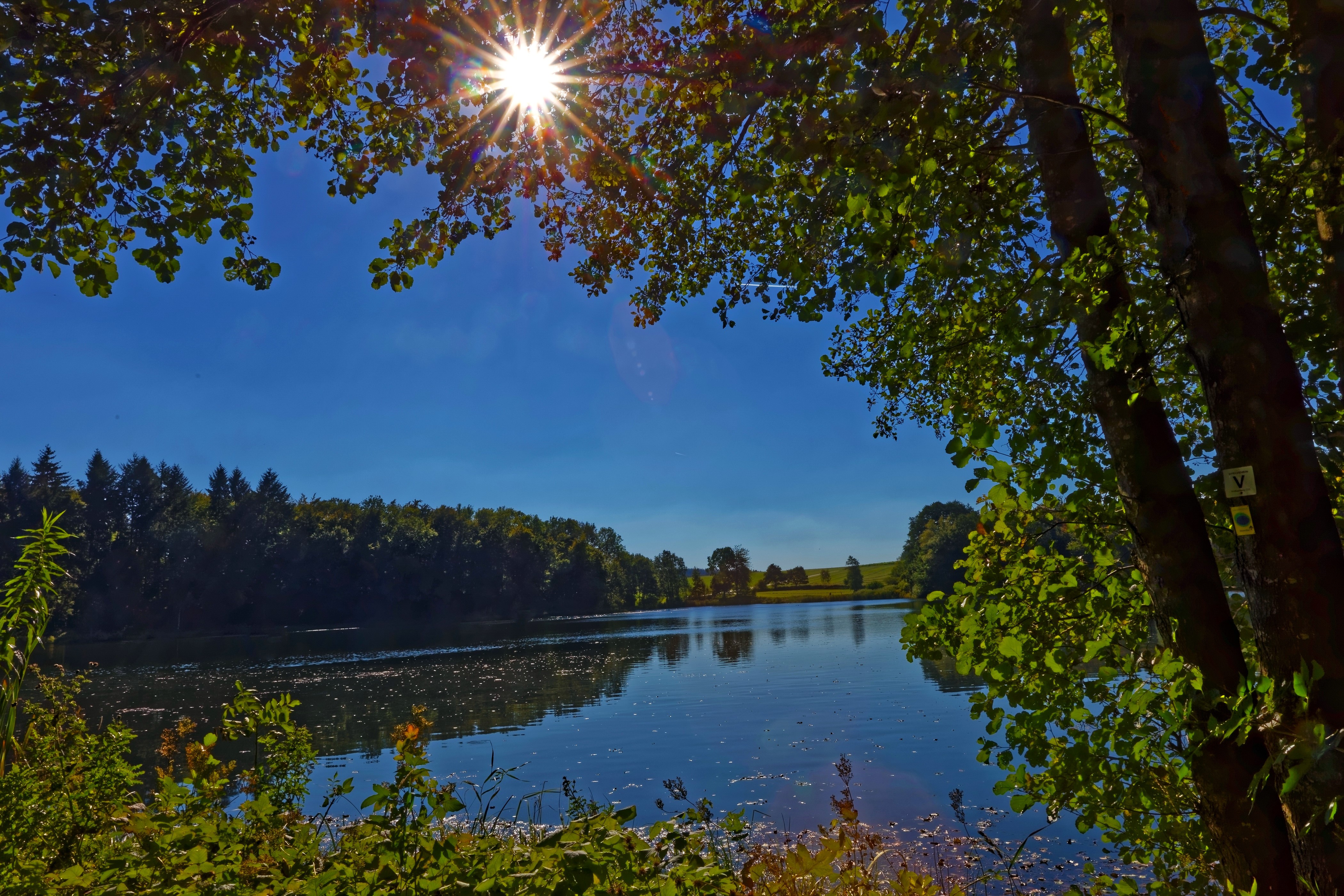 Lake with sun rays and trees in Gillenfeld, Germany HD Wallpaper