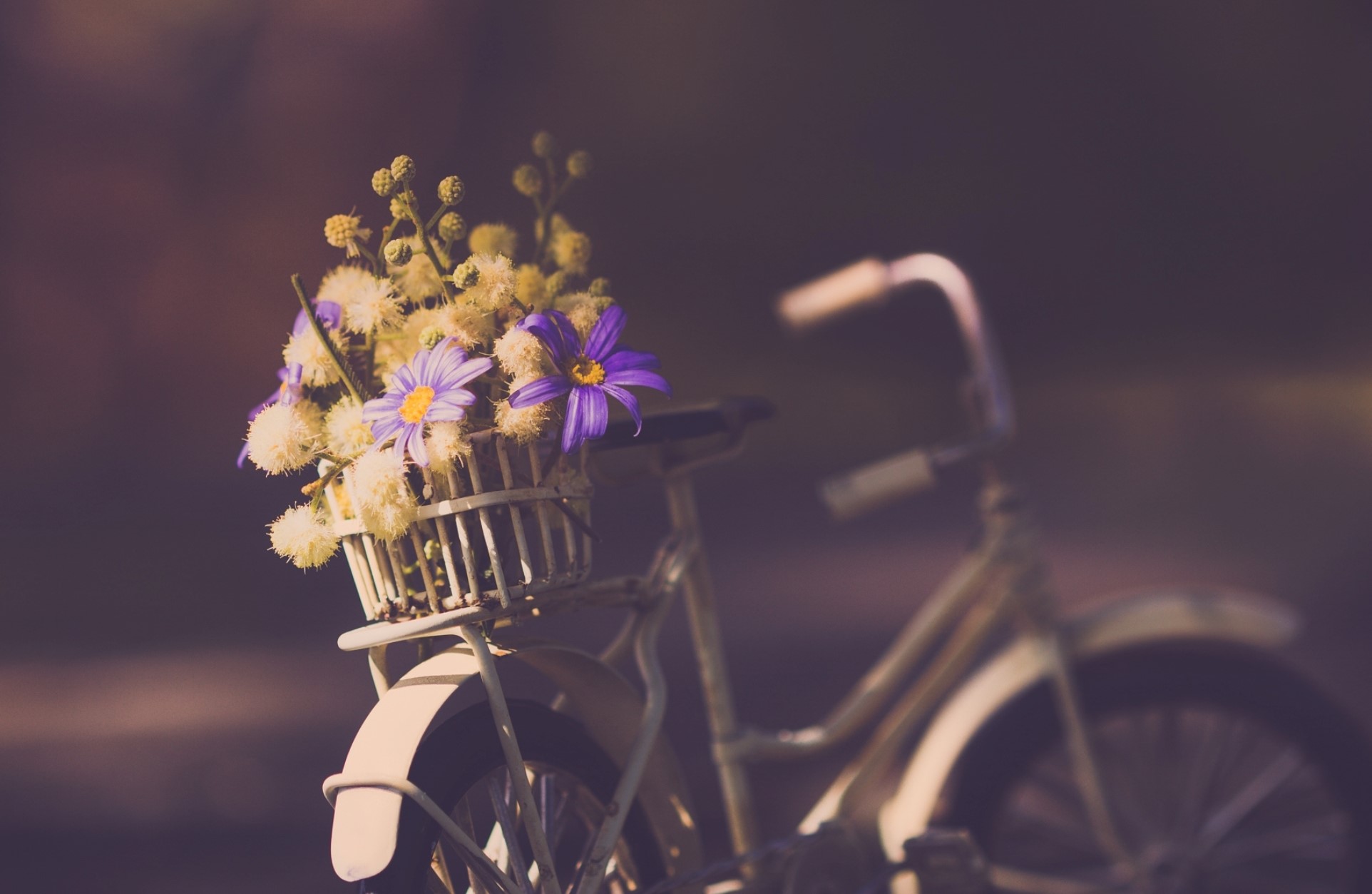 Bicycle with flowers in a basket HD Wallpaper