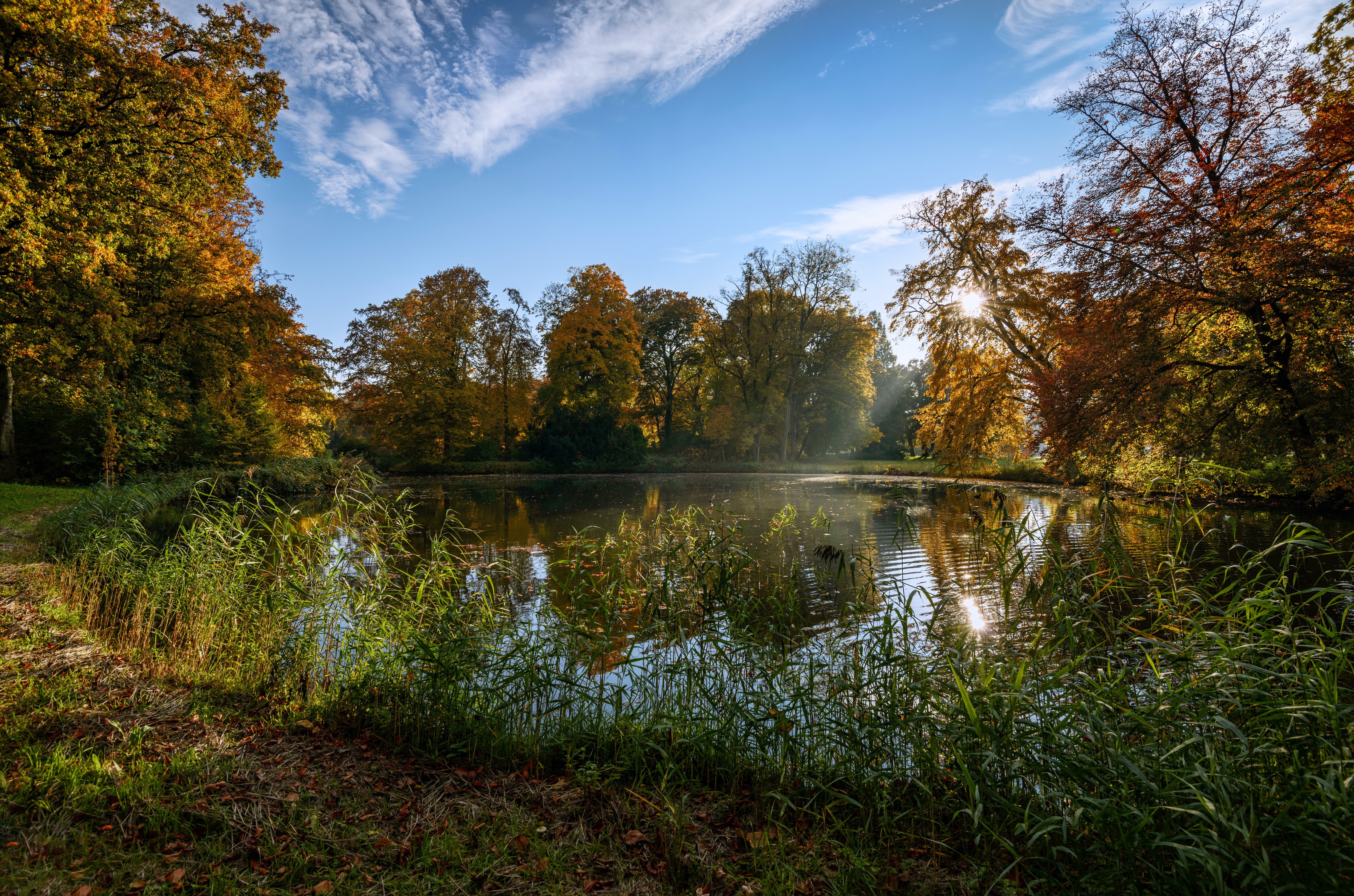 Autumn pond with trees and sunbeams in De Haar Castle Park HD Wallpaper