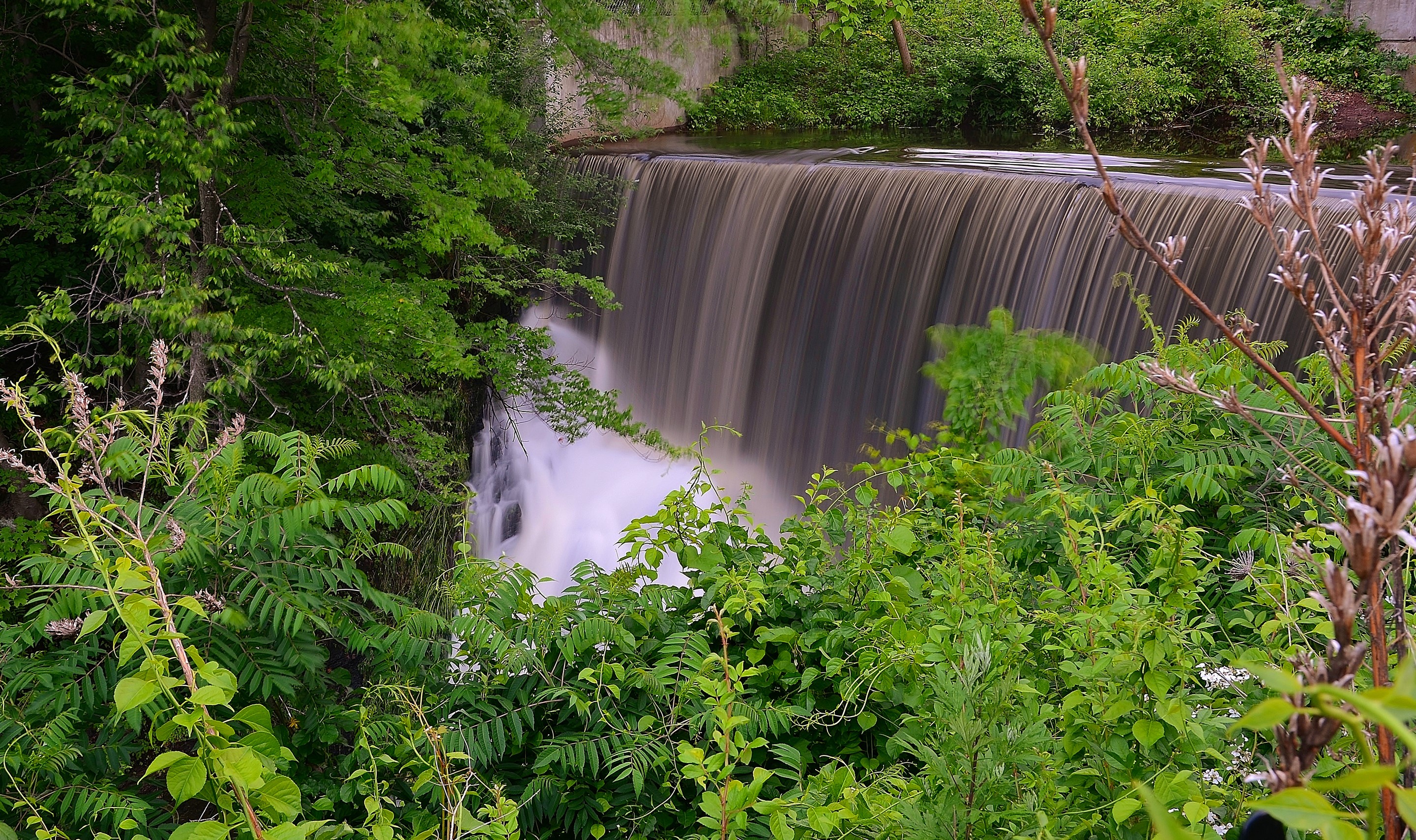 Waterfall surrounded by lush green trees HD Wallpaper
