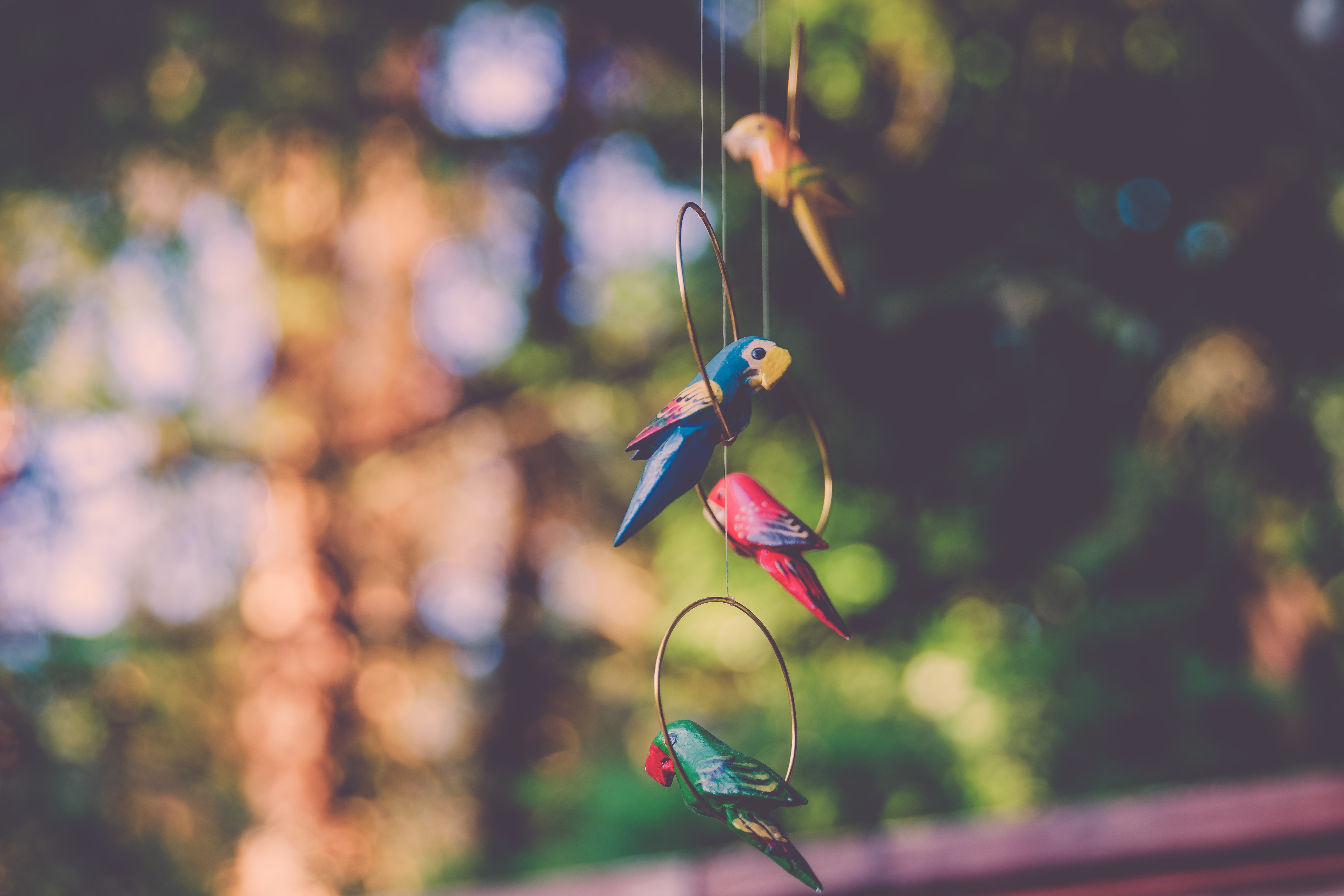 Four colorful parrot wind chimes hanging HD Wallpaper