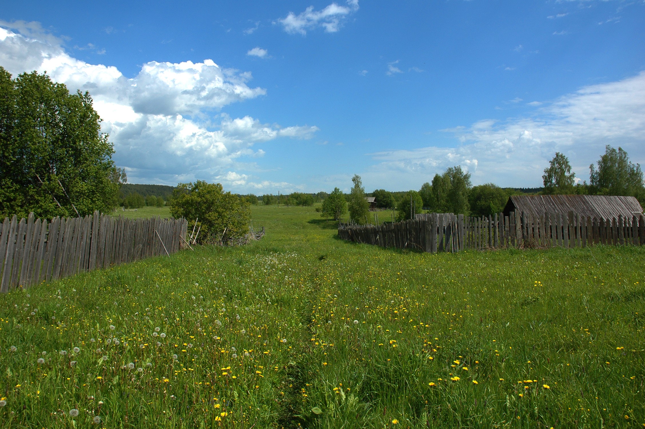 Summer landscape with wooden fences and green fields HD Wallpaper