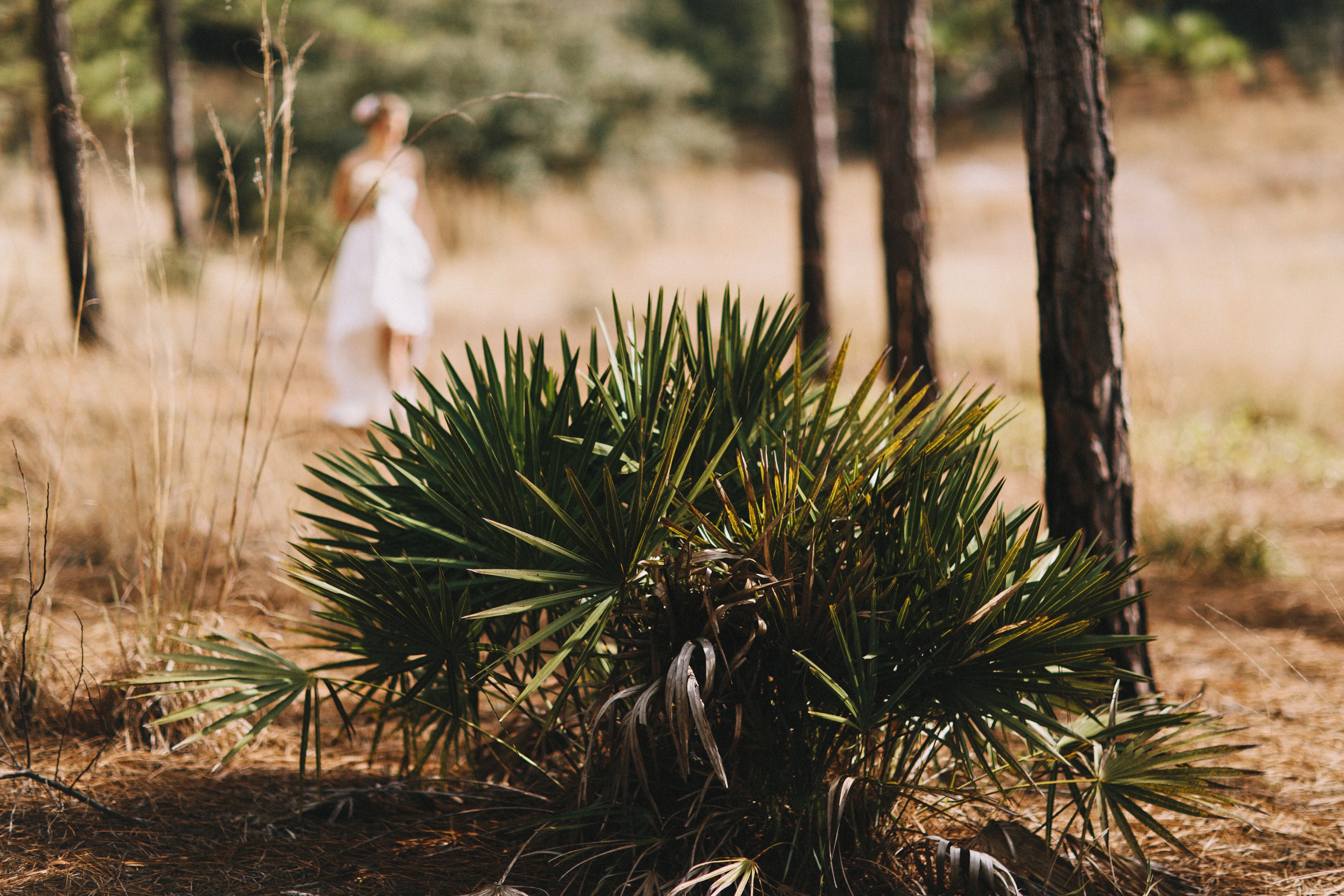 Bride walking in a forest with shrubs HD Wallpaper