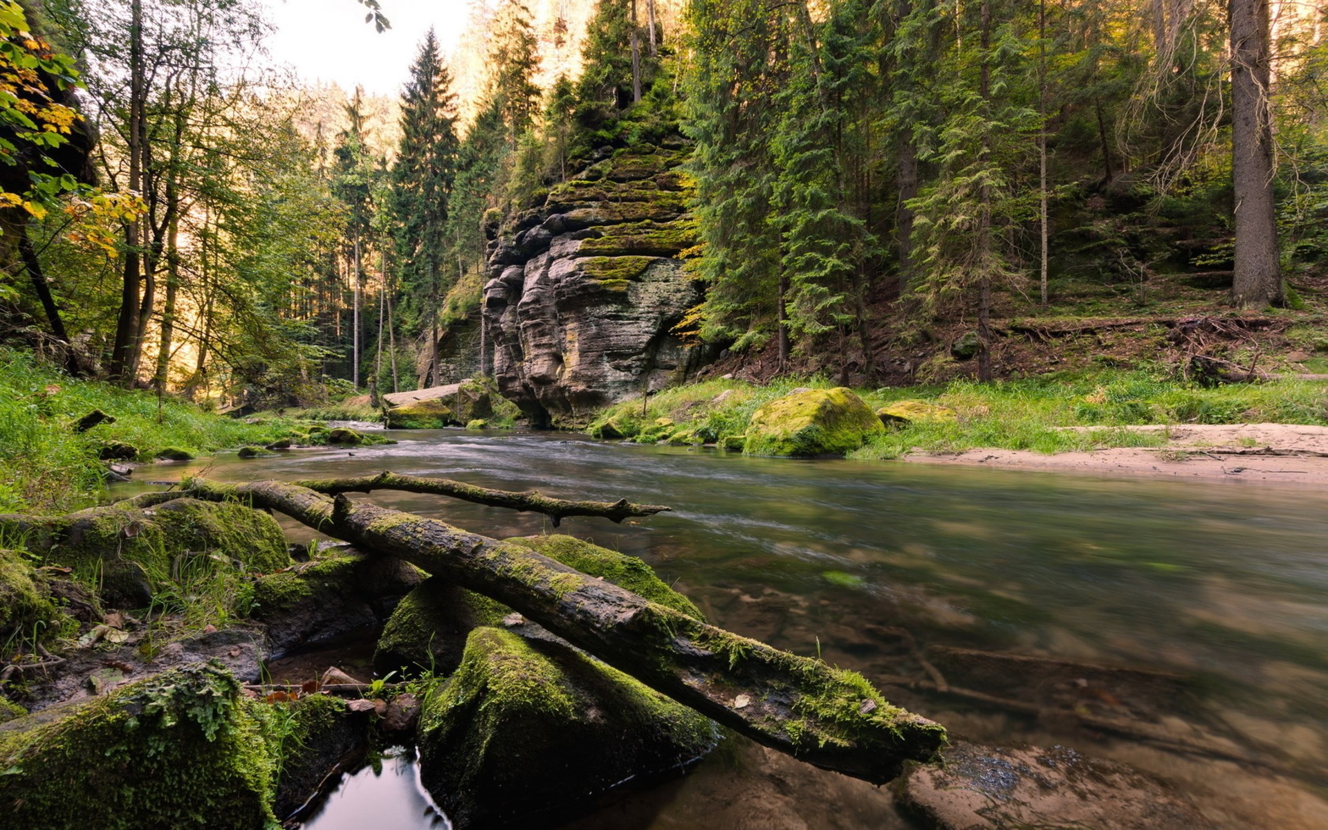 River flowing through a forest with rocky cliffs HD Wallpaper