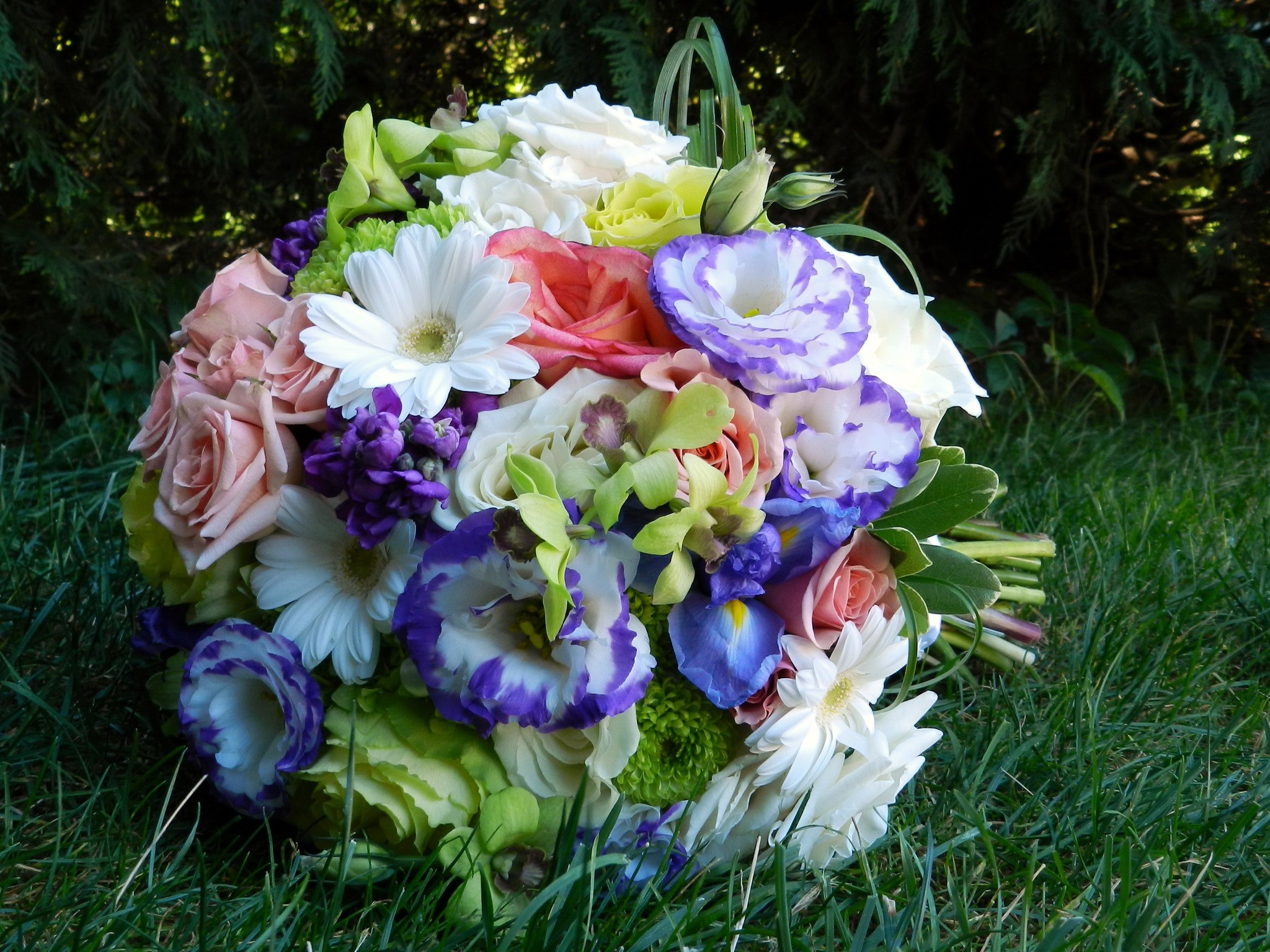 Bouquet of Roses, Eustoma, Irises, and Orchids on Grass HD Wallpaper