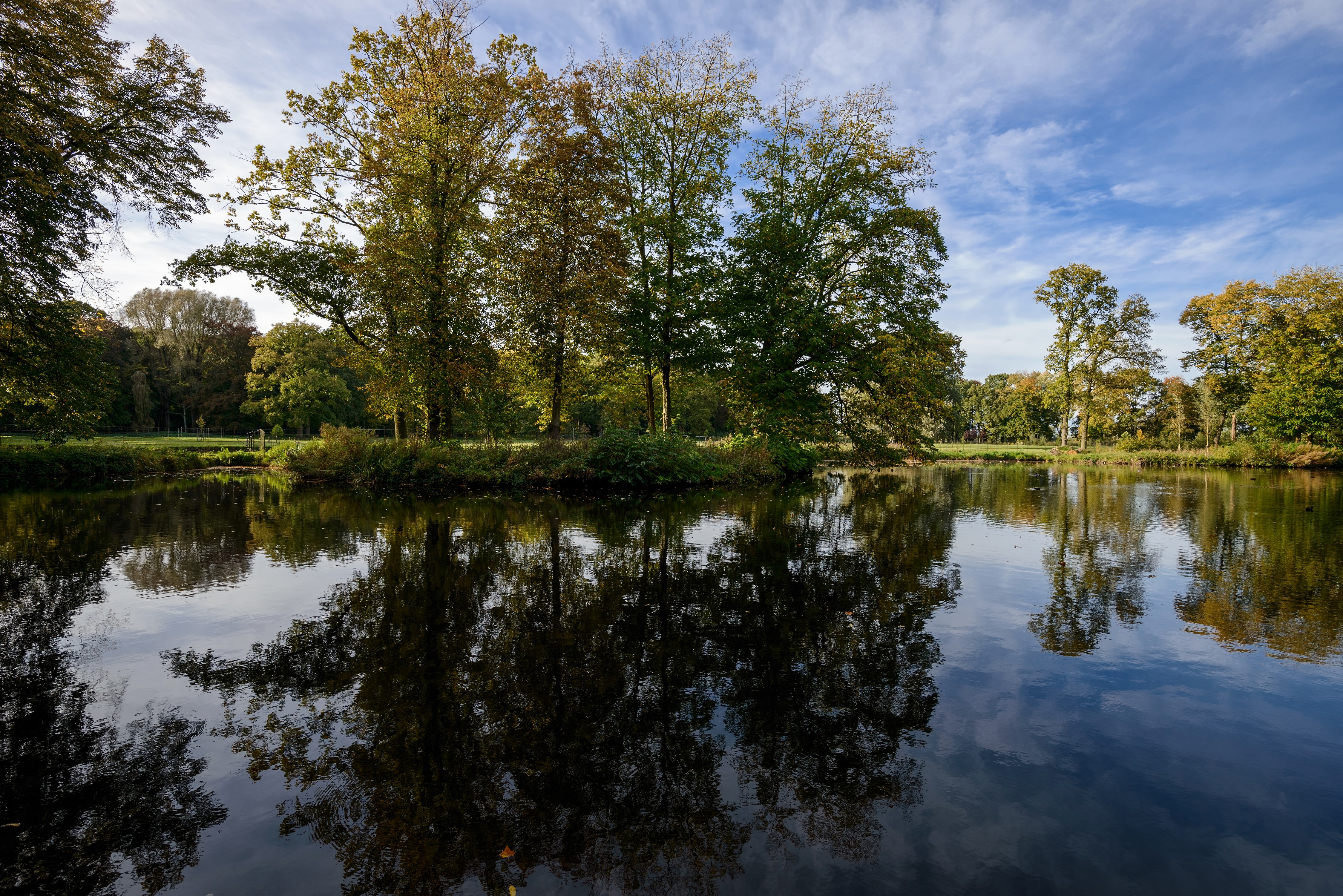 Park pond with trees and reflections HD Wallpaper