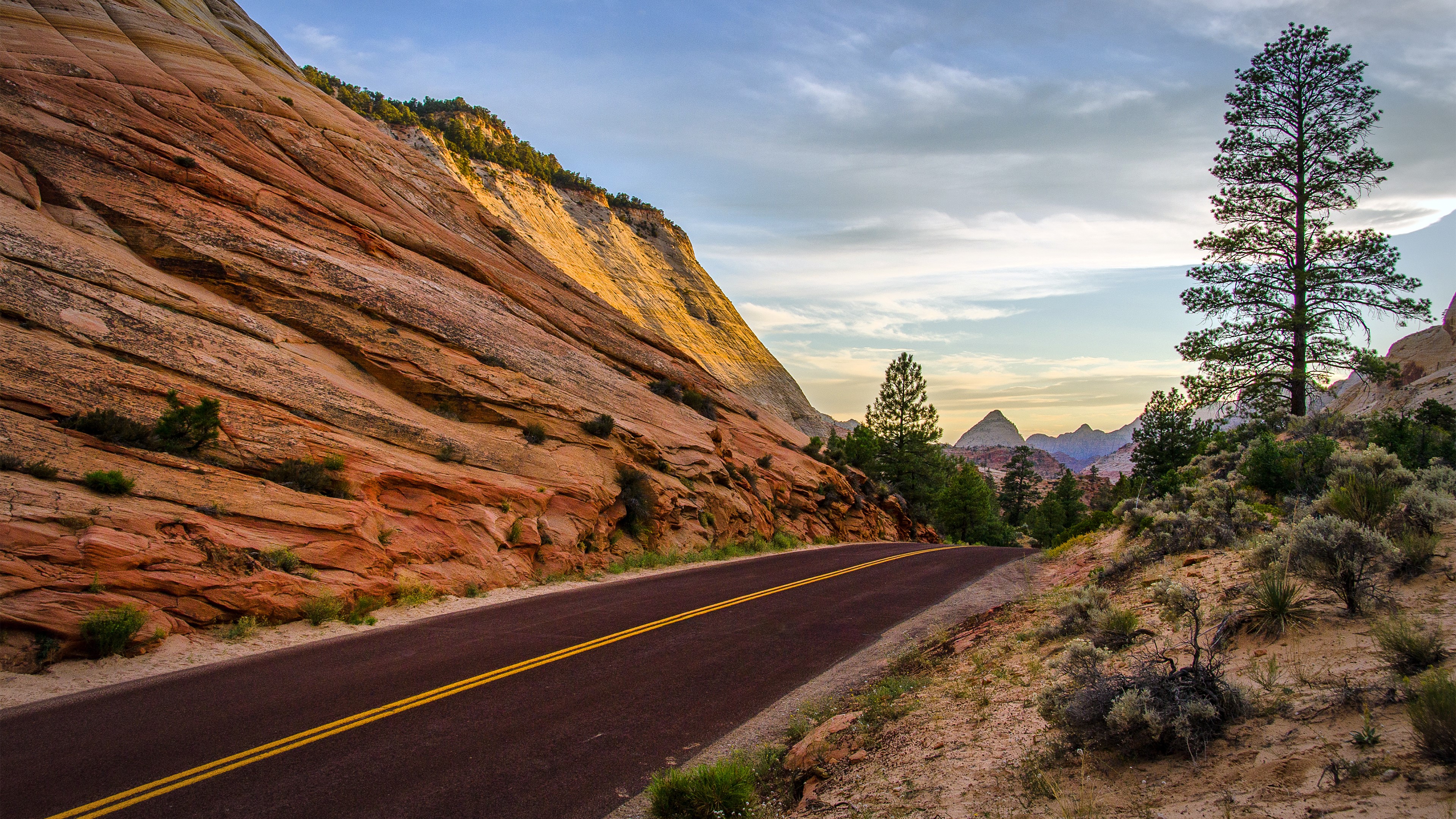 Road through a desert canyon with sandstone cliffs HD Wallpaper