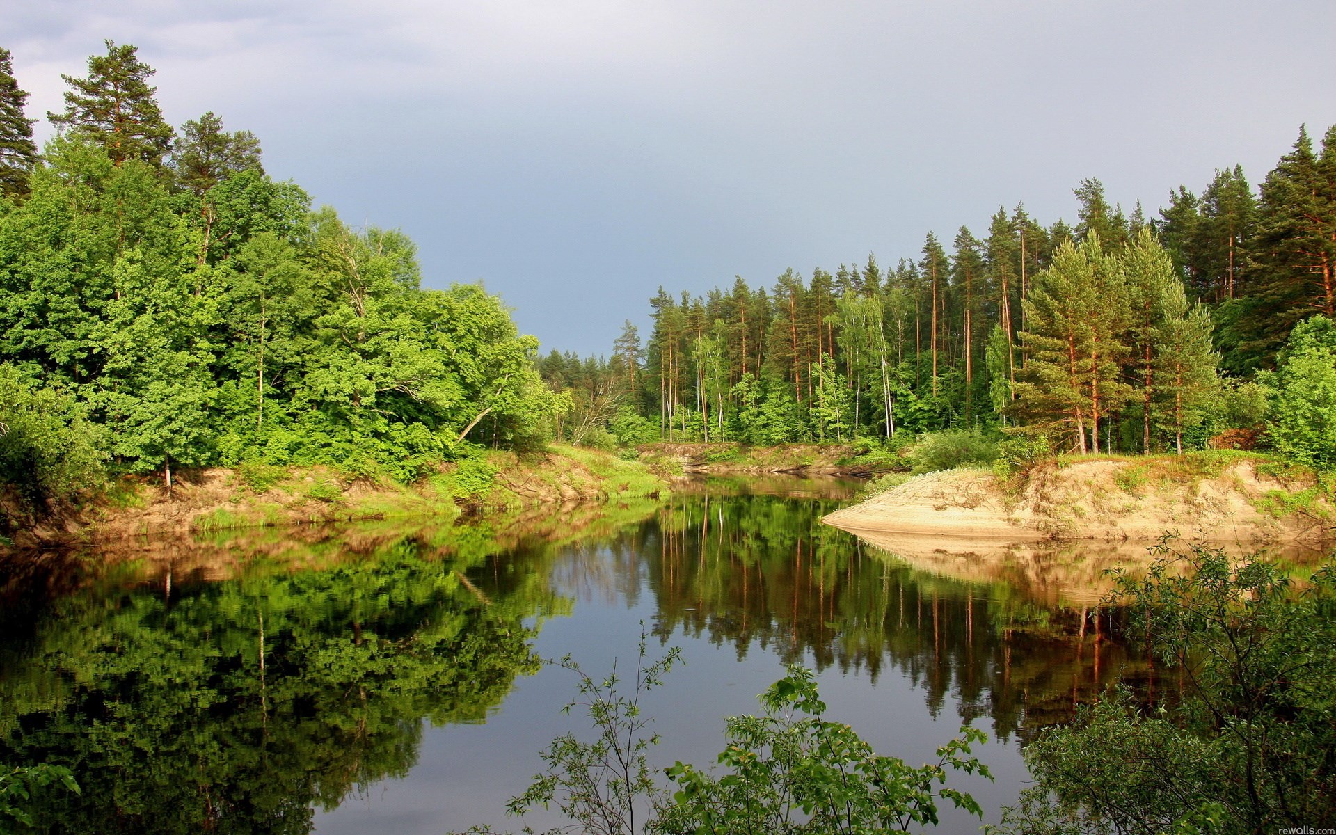 River flowing through a forest with reflections HD Wallpaper