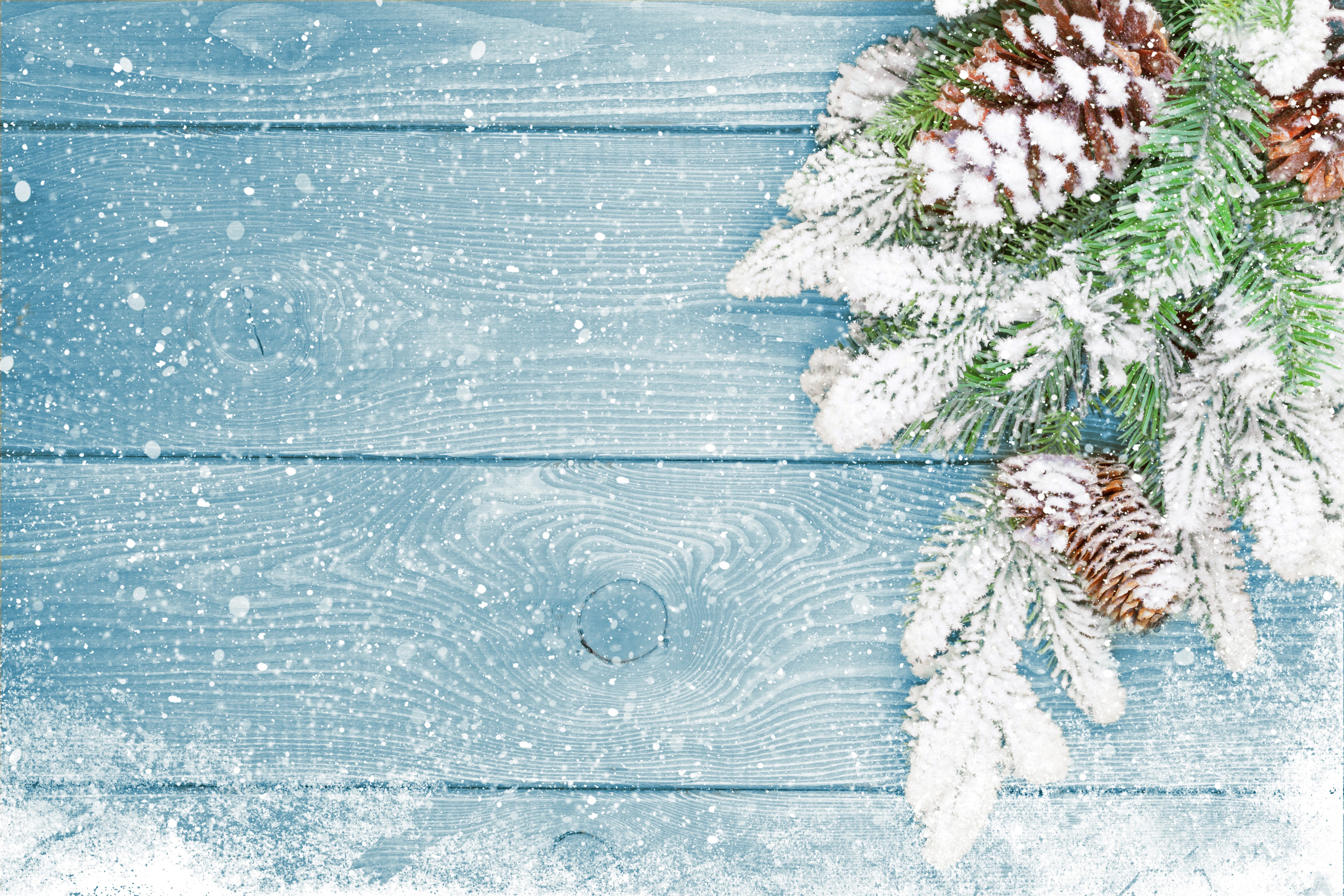 Christmas tree branches with pine cones and snow on wood planks HD Wallpaper