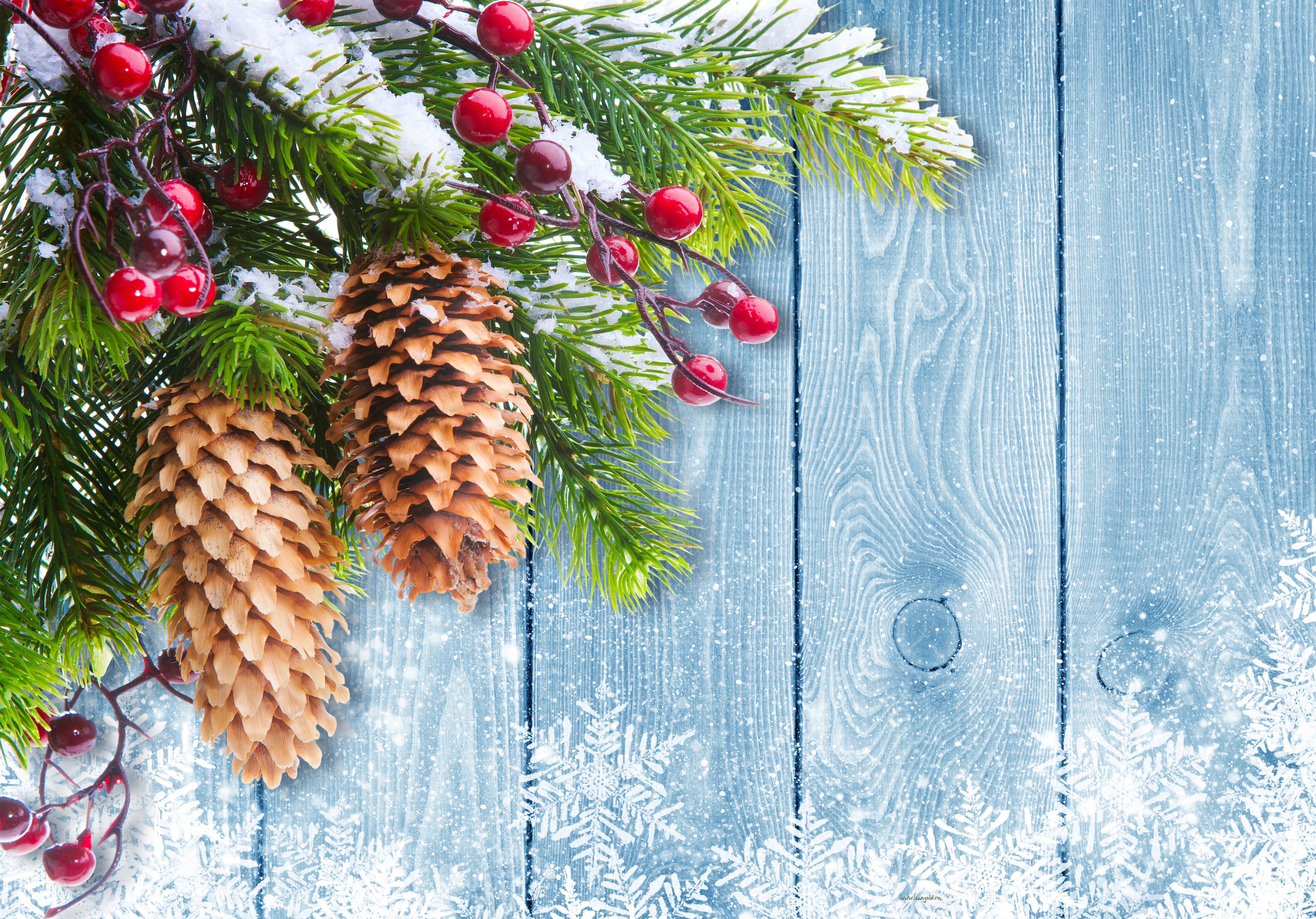 Christmas pine cones and berries on snowy branches HD Wallpaper