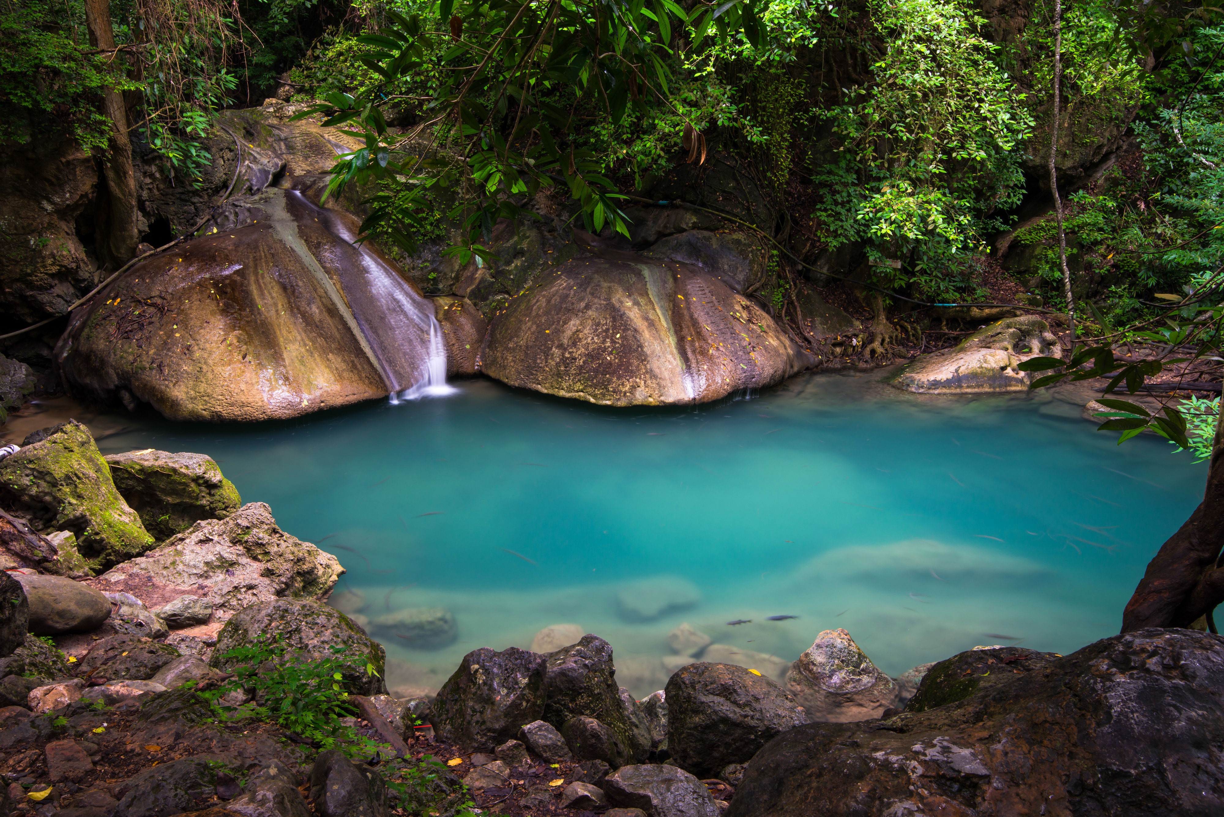Turquoise waterfall pool in a jungle HD Wallpaper