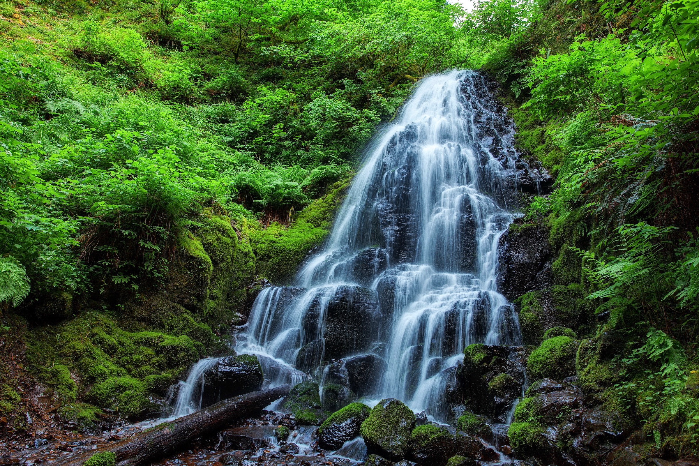 Waterfall cascading through a moss-covered forest HD Wallpaper