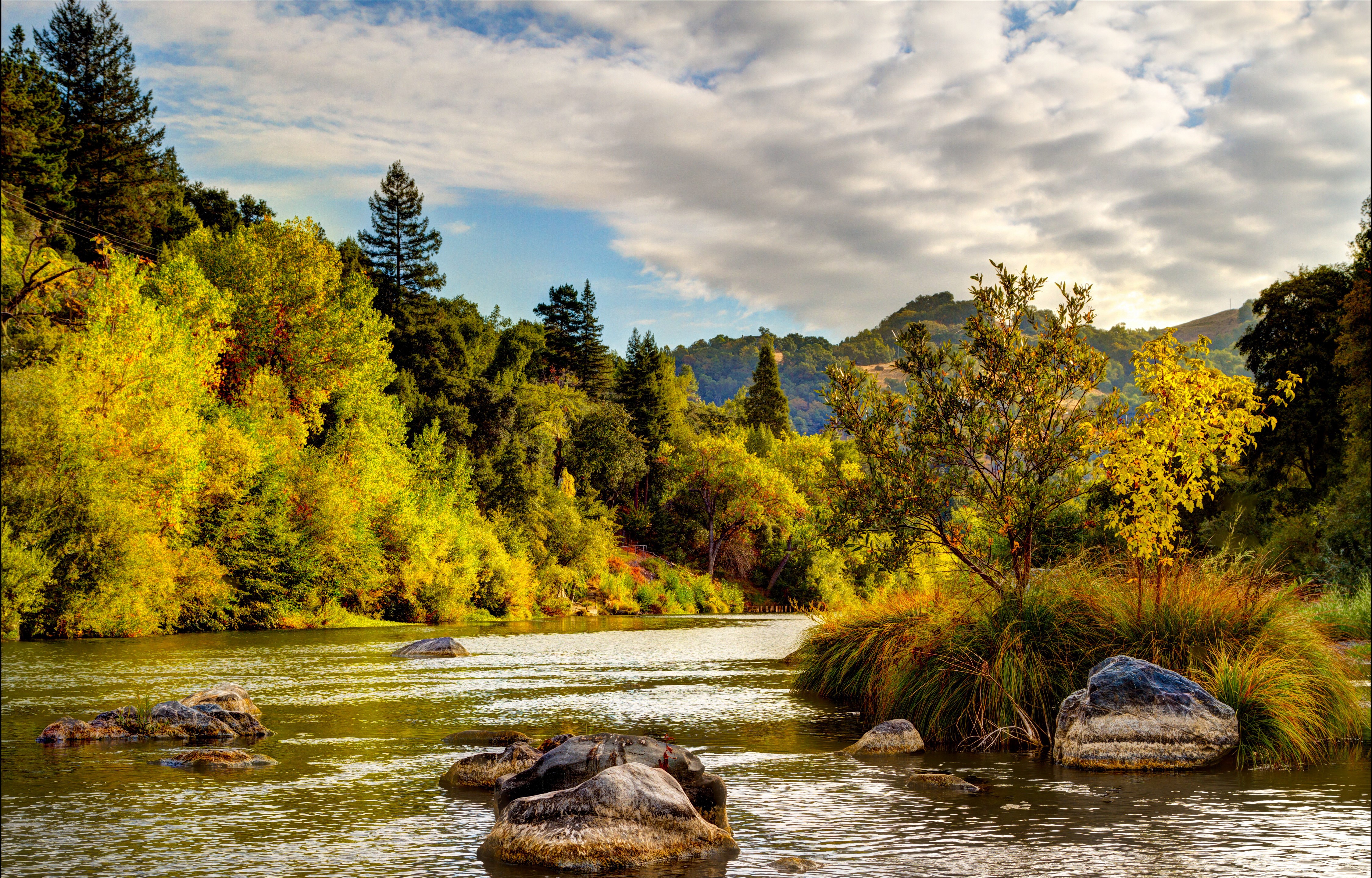 Russian River Healdsburg California Autumn Forest and River HD Wallpaper