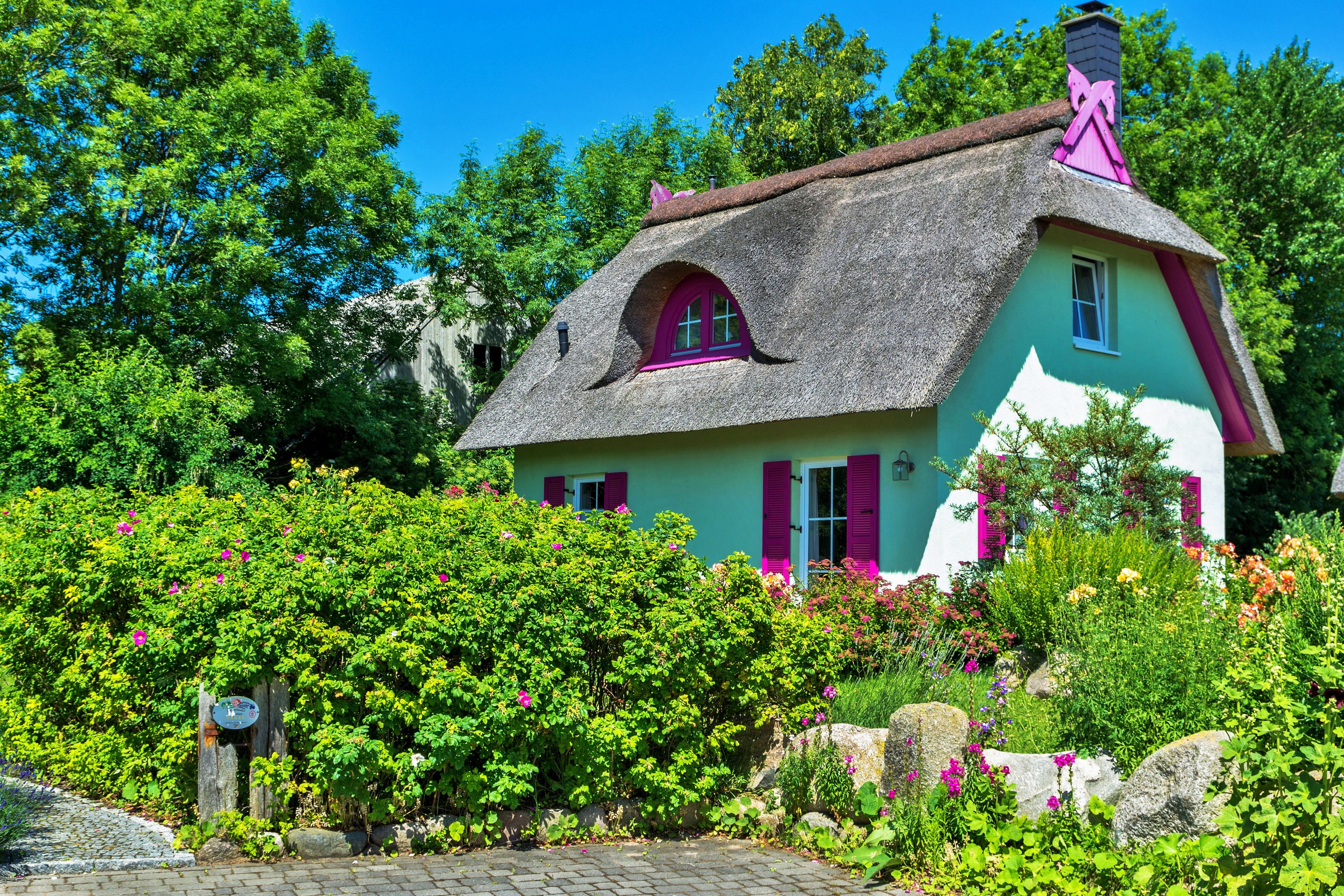 Thatched roof cottage with pink accents surrounded by greenery HD Wallpaper
