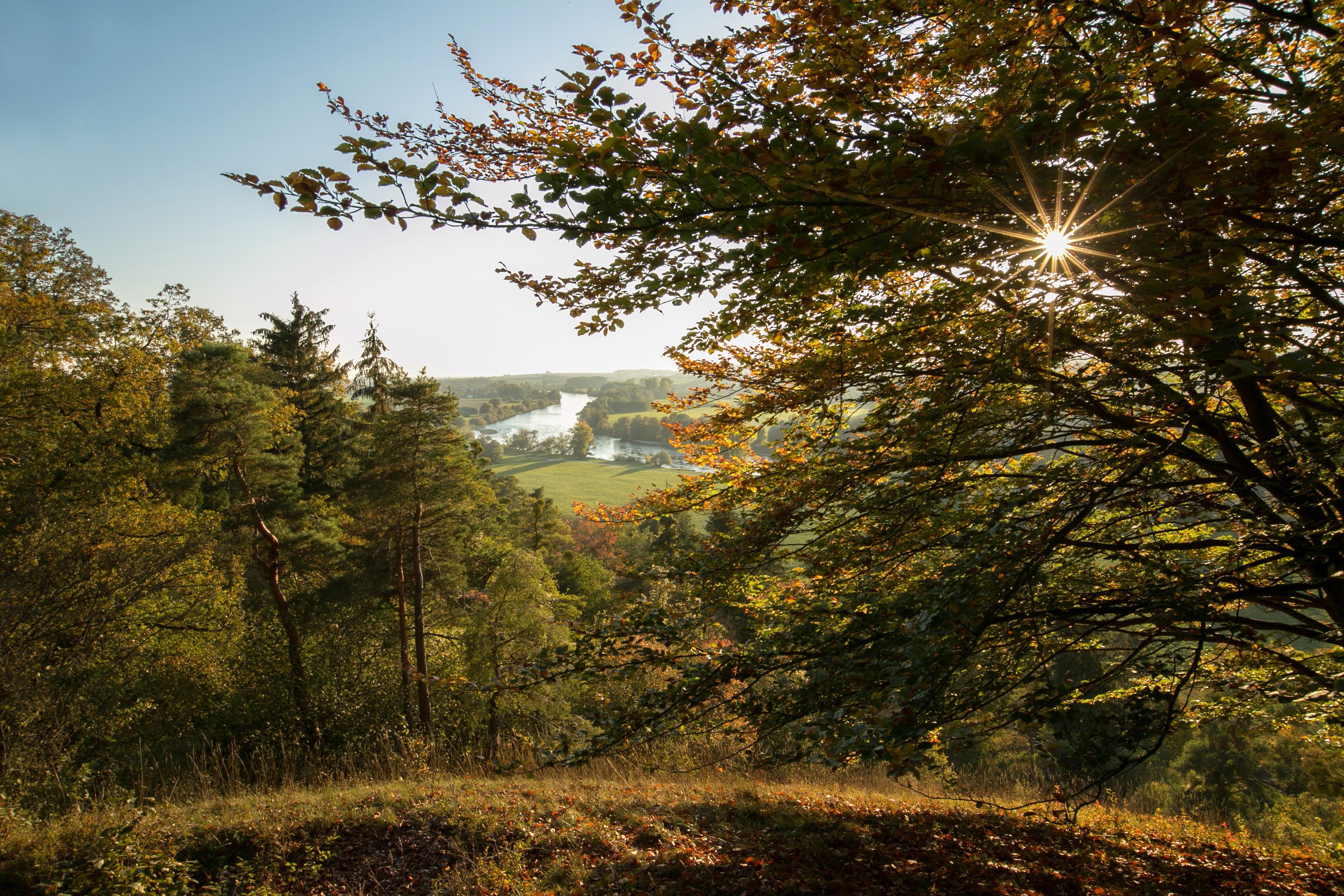 Autumn forest overlooking a river in Bavaria, Germany HD Wallpaper