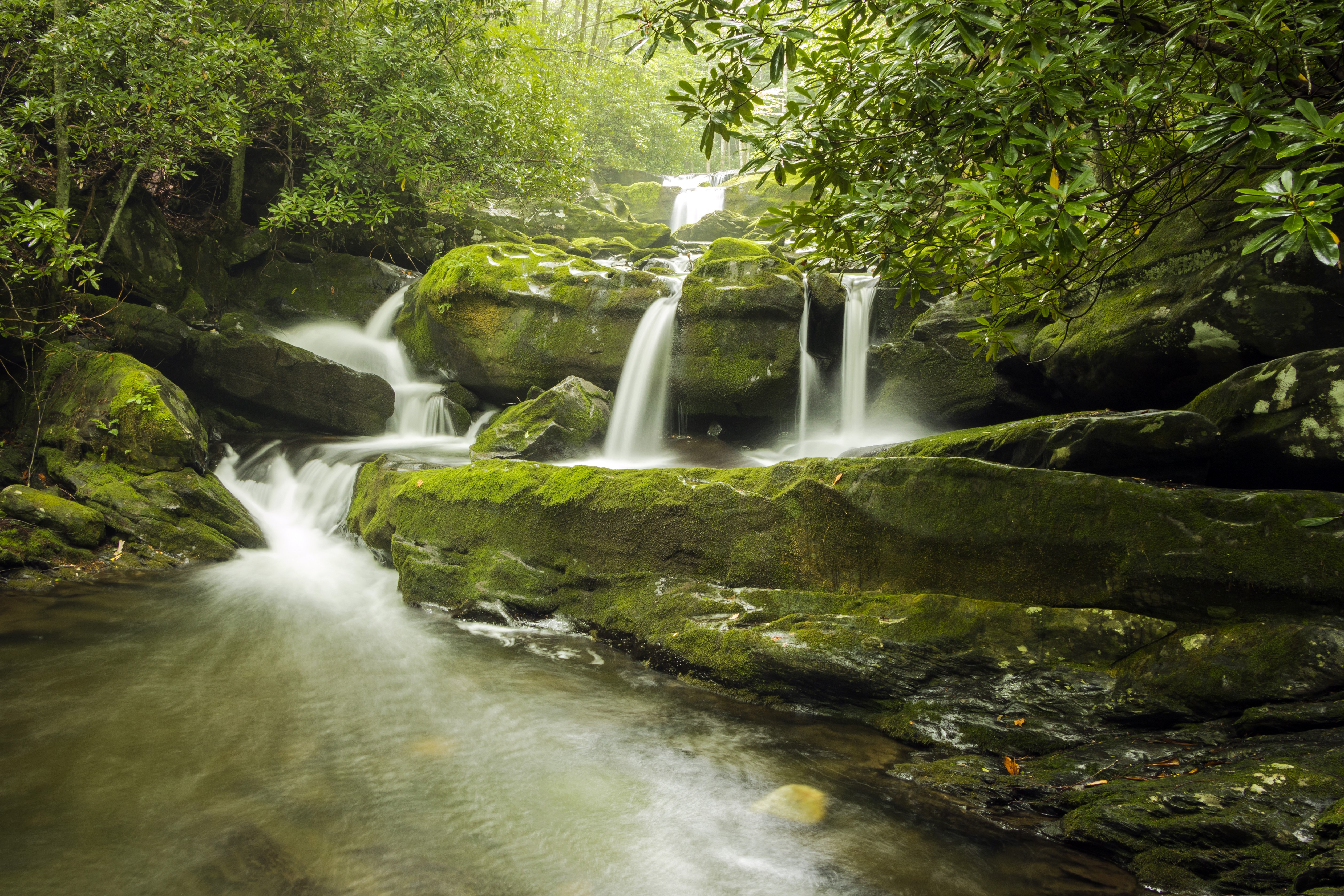 Lynn Camp Falls USA Waterfalls Stones Moss HD Wallpaper