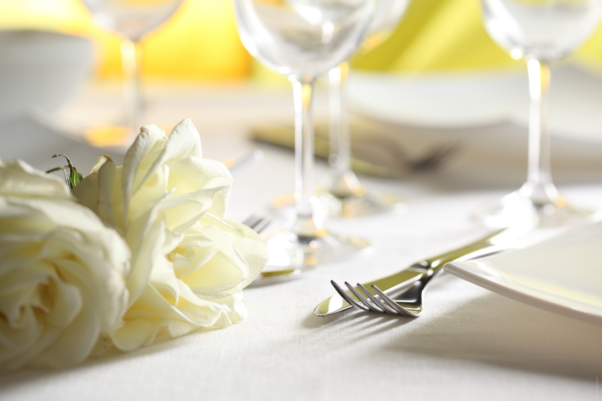 White roses on a set table with wine glasses HD Wallpaper