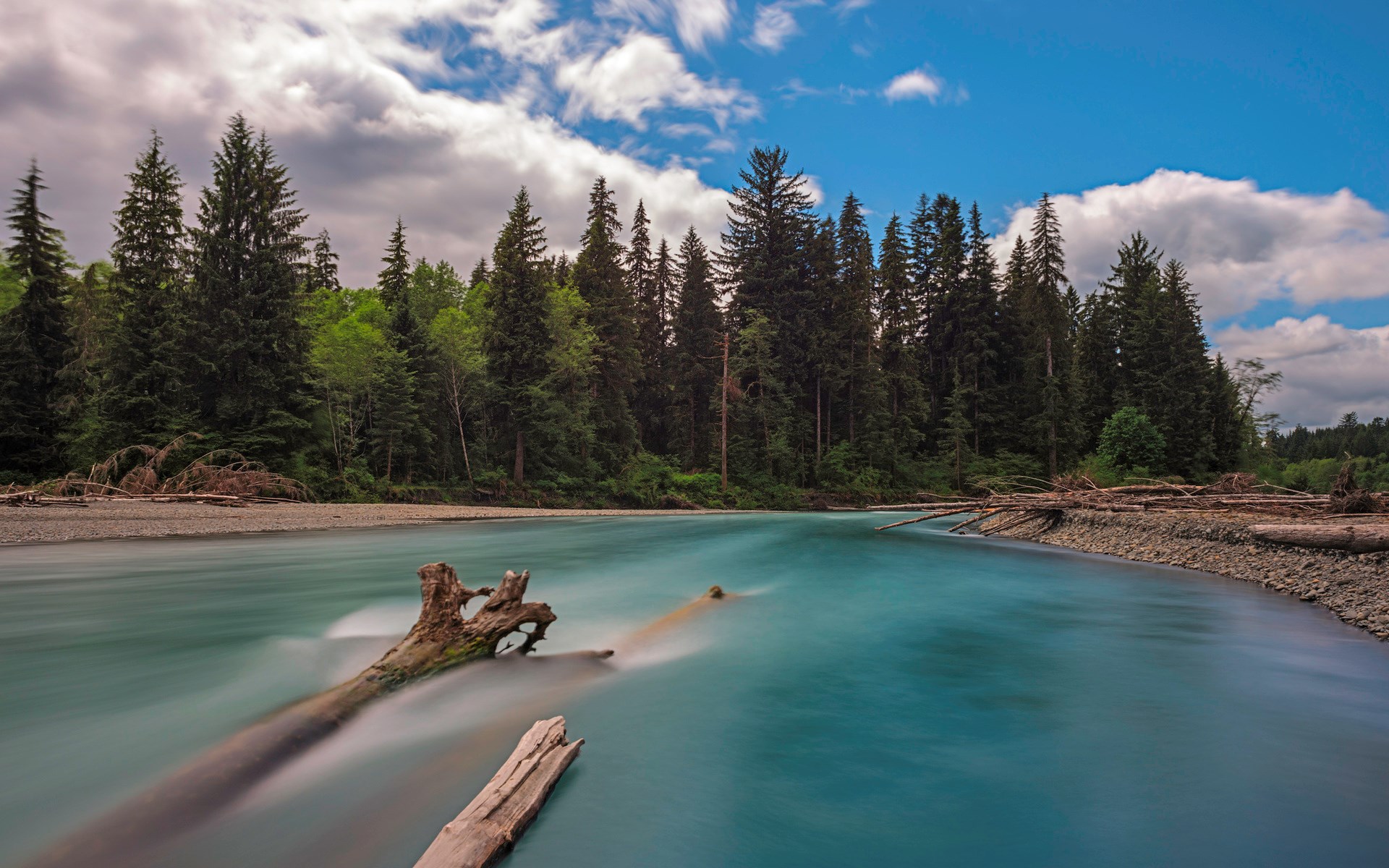 Turquoise river flowing through a forest with fallen logs HD Wallpaper