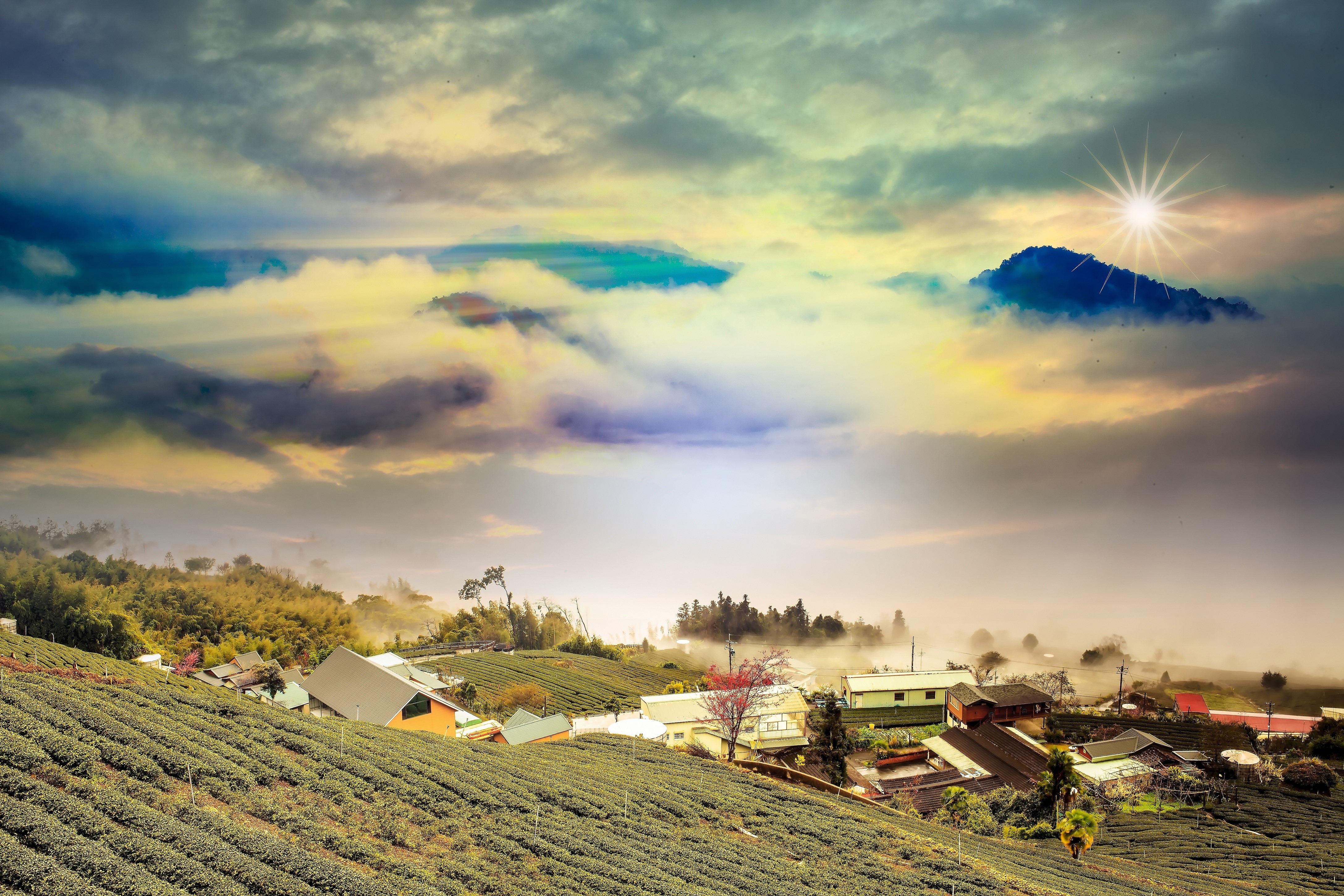 Tea fields and village in the mountains with clouds HD Wallpaper