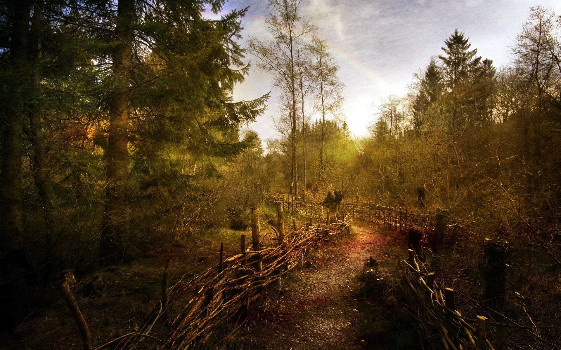 Forest path with a rustic fence and rainbow HD Wallpaper