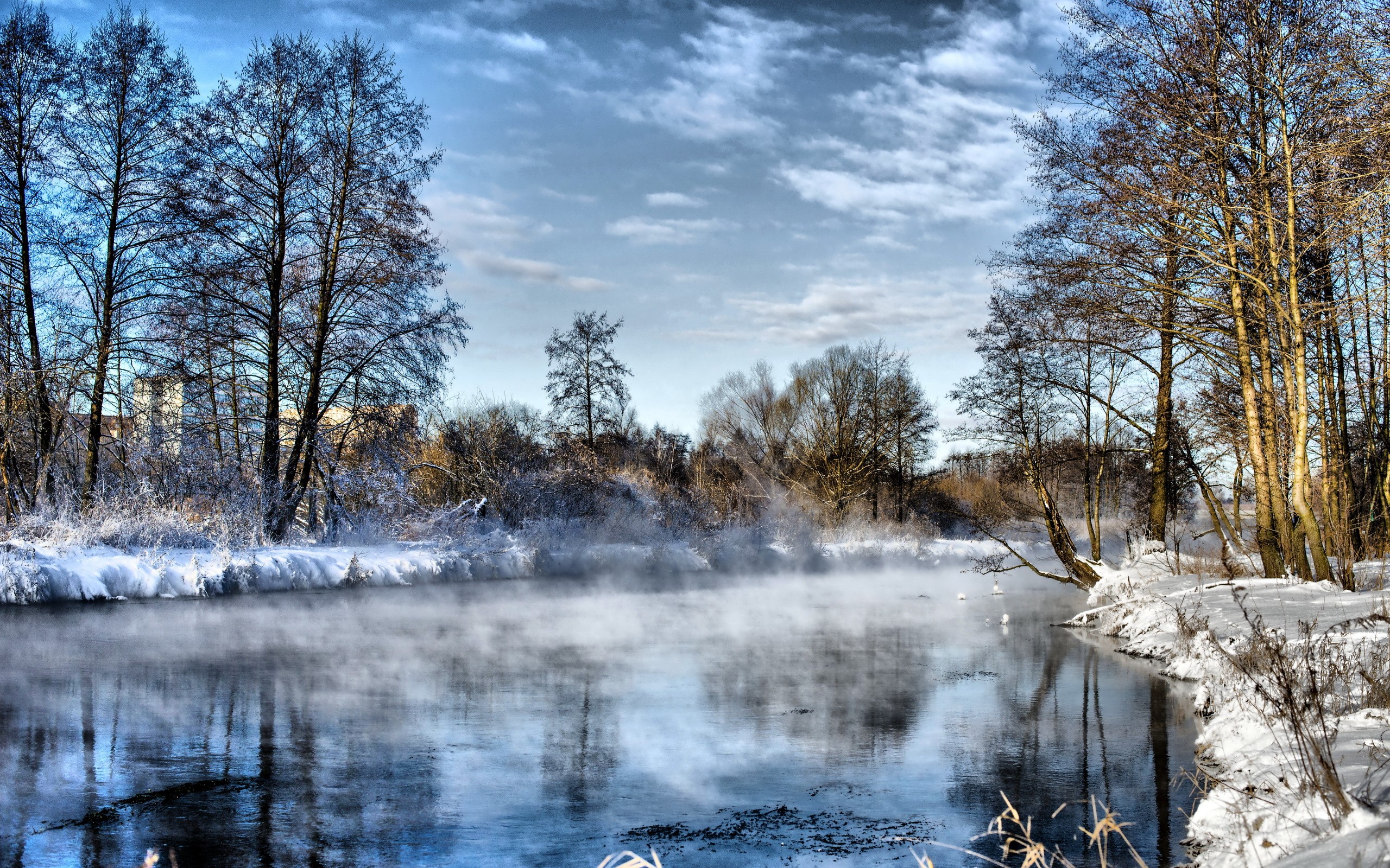 Winter river with steam and snow-covered trees HD Wallpaper